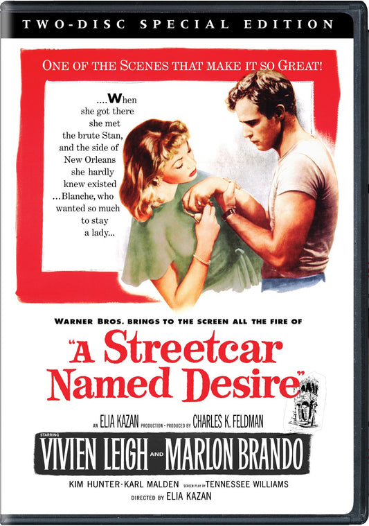Streetcar Named Desire (Special) book cover