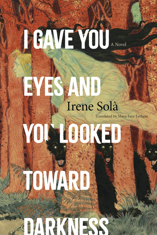 I Gave You Eyes and You Looked Toward Darkness book cover