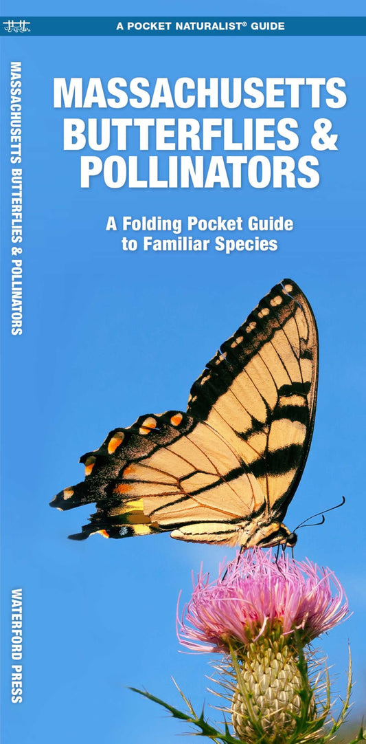 Massachusetts Butterflies & Pollinators book cover