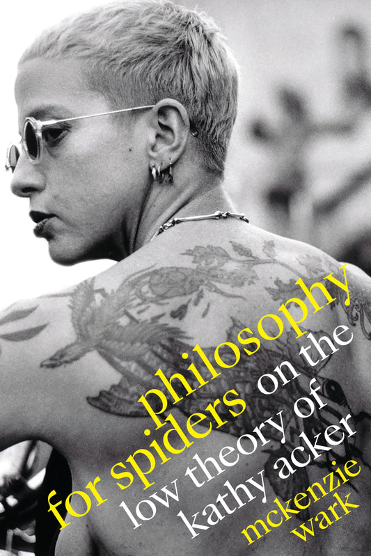 Philosophy for Spiders book cover