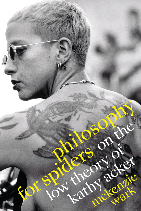 Philosophy for Spiders book cover