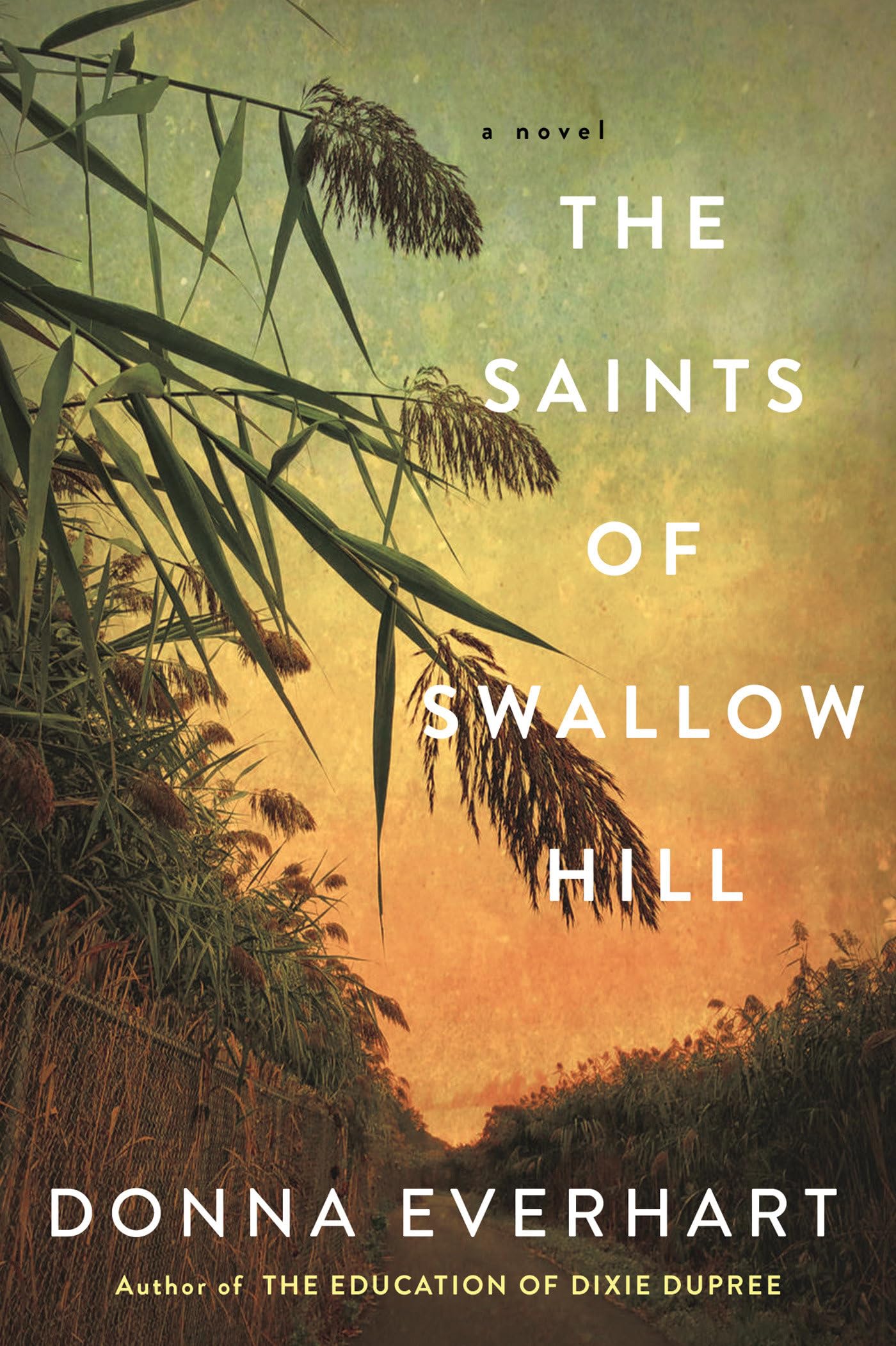 Saints of Swallow Hill: A Fascinating Depression Era Historical Novel book cover