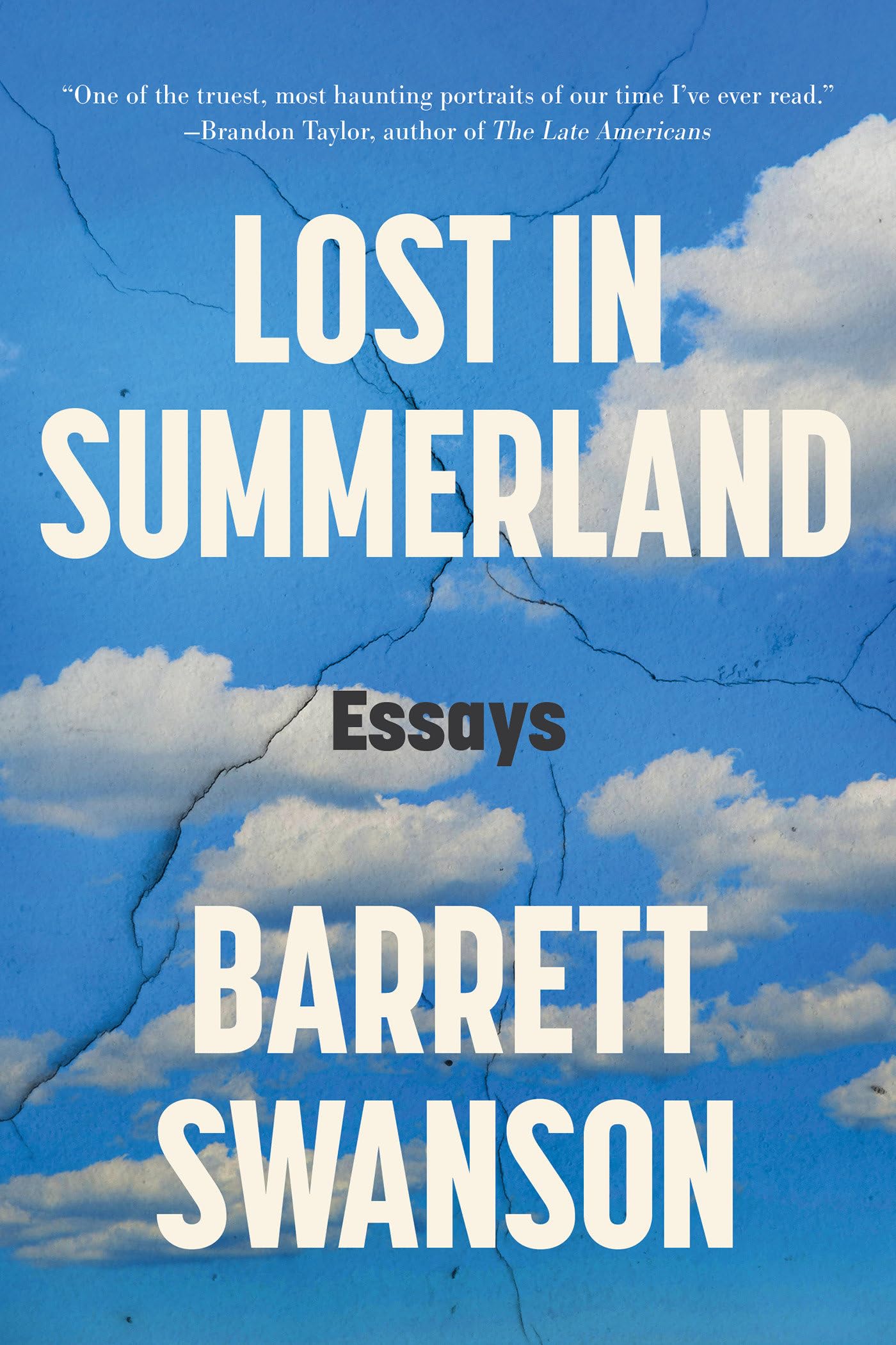 Lost in Summerland: Essays book cover