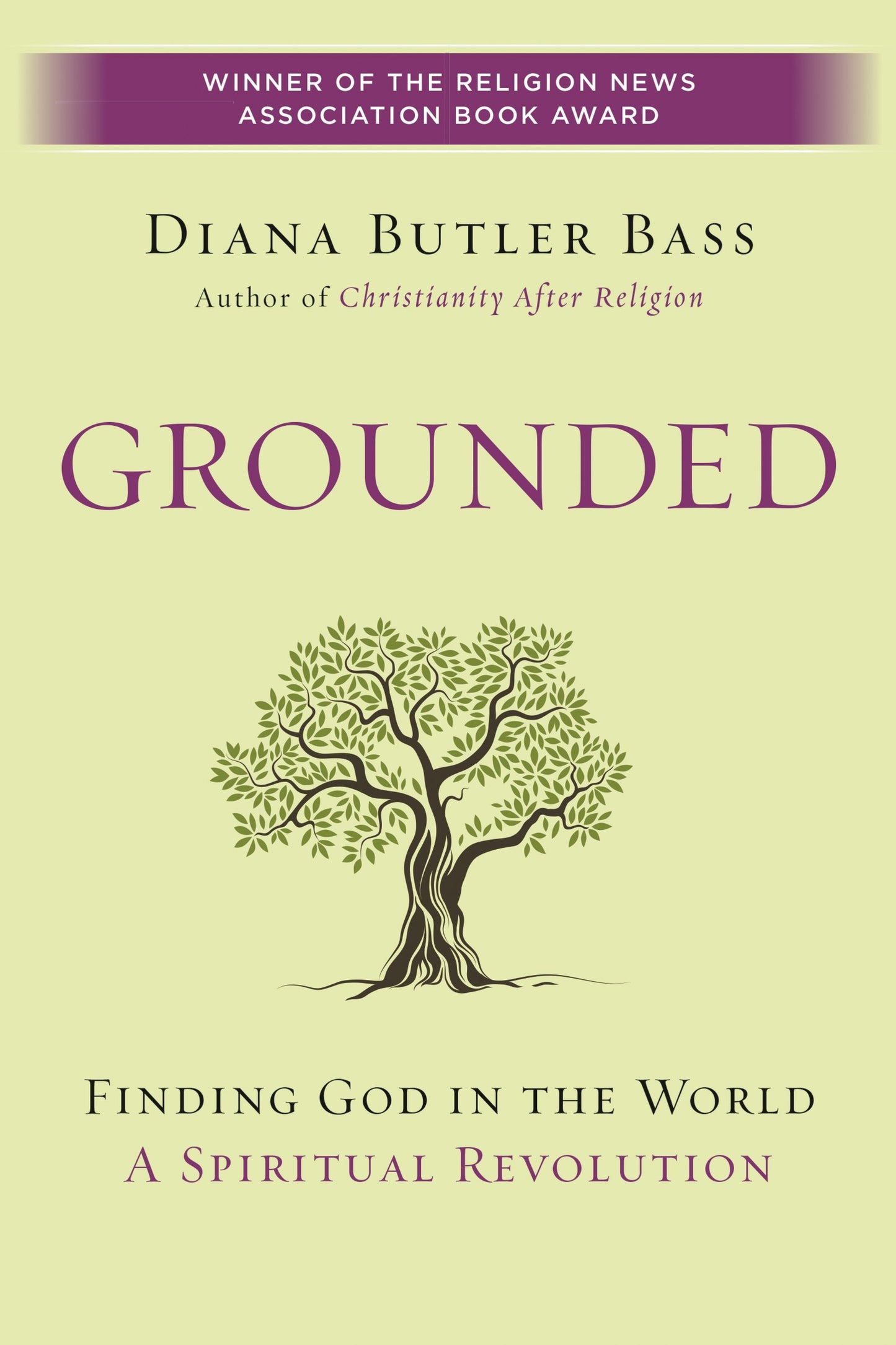Grounded: Finding God in the World-A Spiritual Revolution book cover