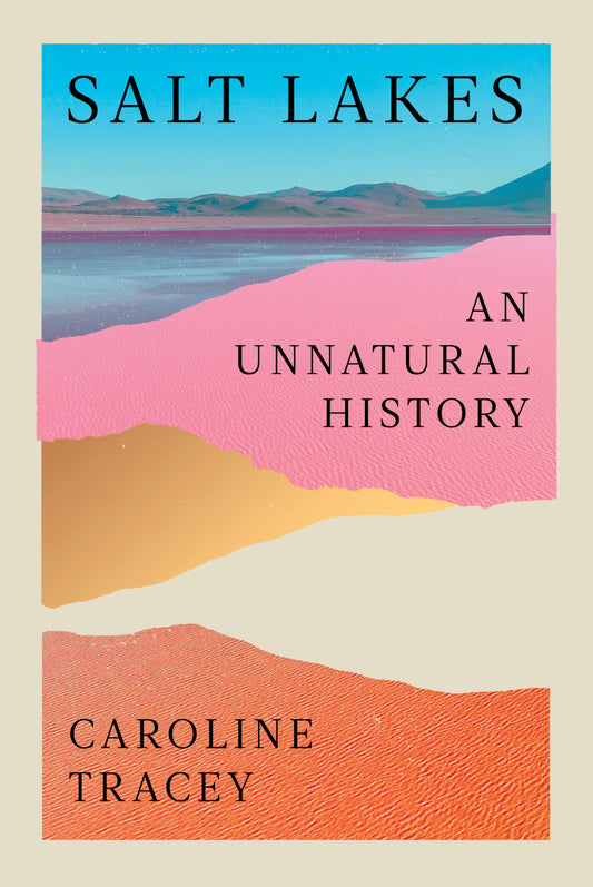 Salt Lakes: An Unnatural History book cover