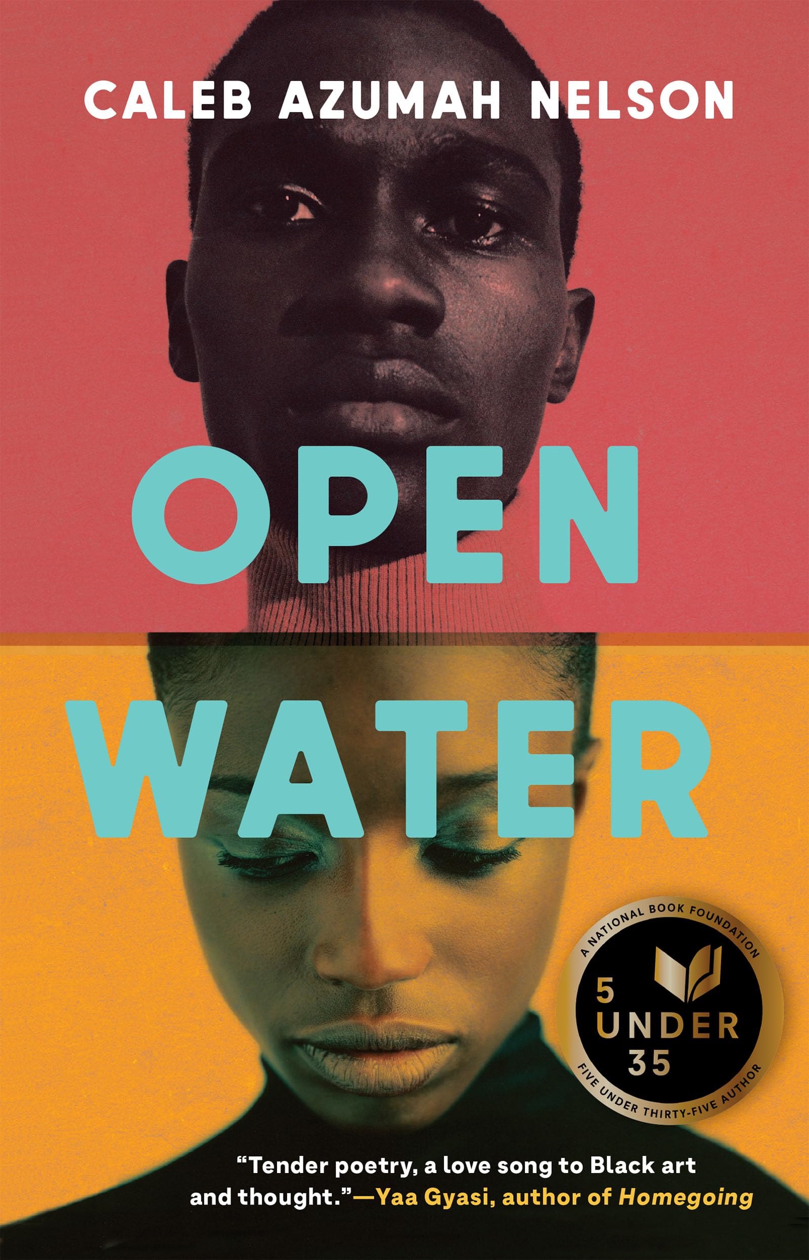 Open Water book cover