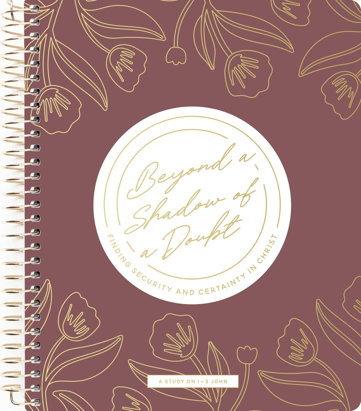 Beyond a Shadow of a Doubt Bible Study | 1-3 John book cover