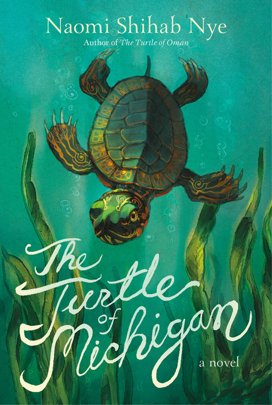 Turtle of Michigan book cover