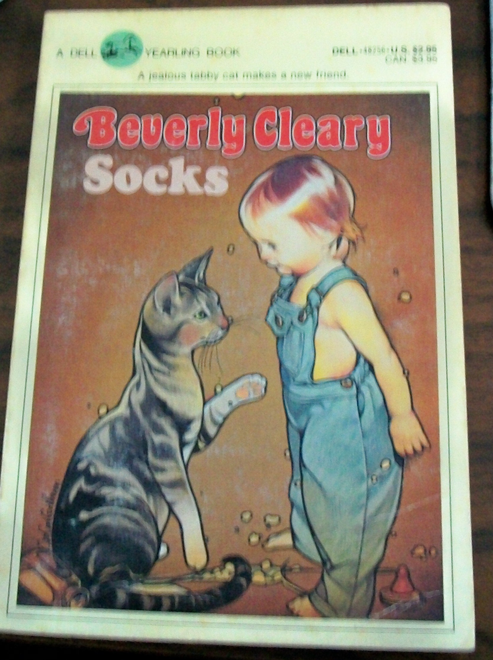 Socks book cover