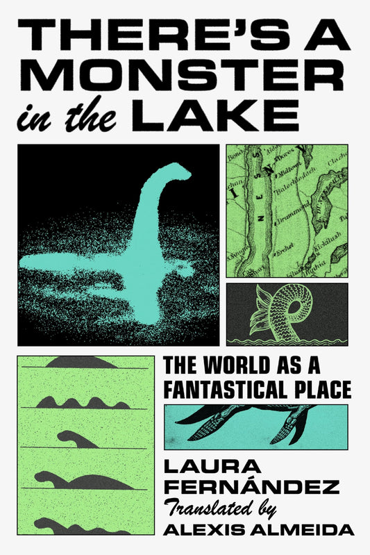 There's a Monster in the Lake book cover