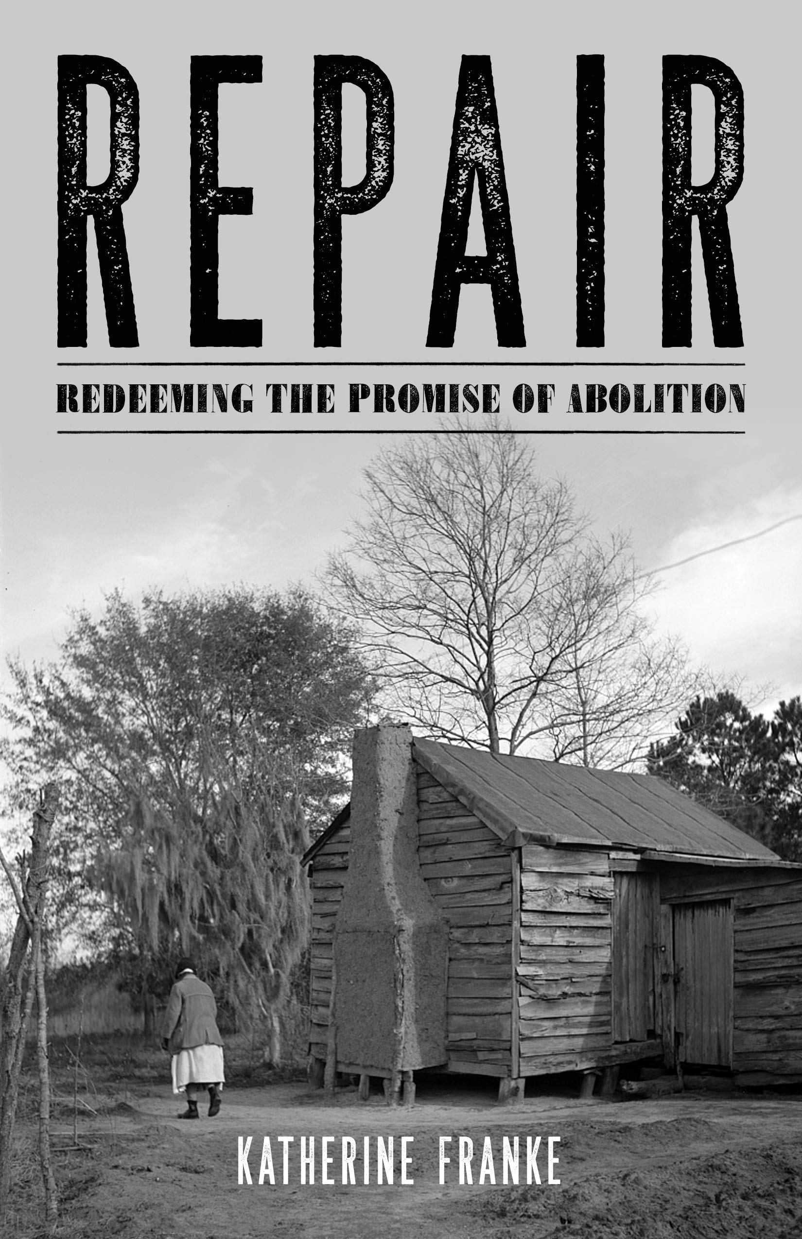 Repair: Redeeming the Promise of Abolition book cover