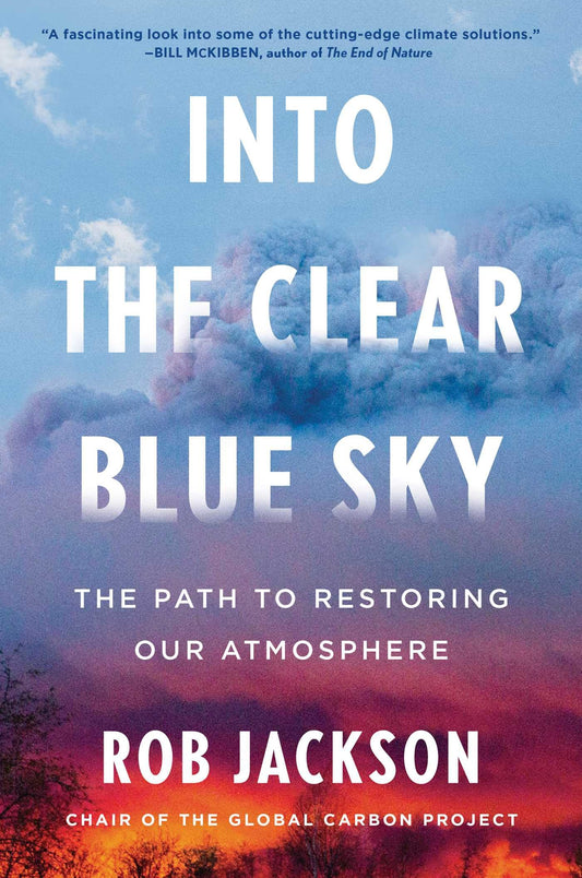 Into the Clear Blue Sky: The Path to Restoring Our Atmosphere book cover