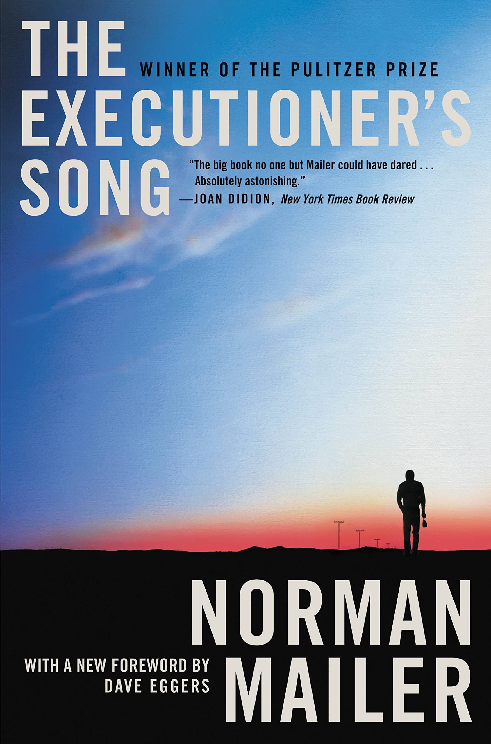 The Executioner's Song book cover