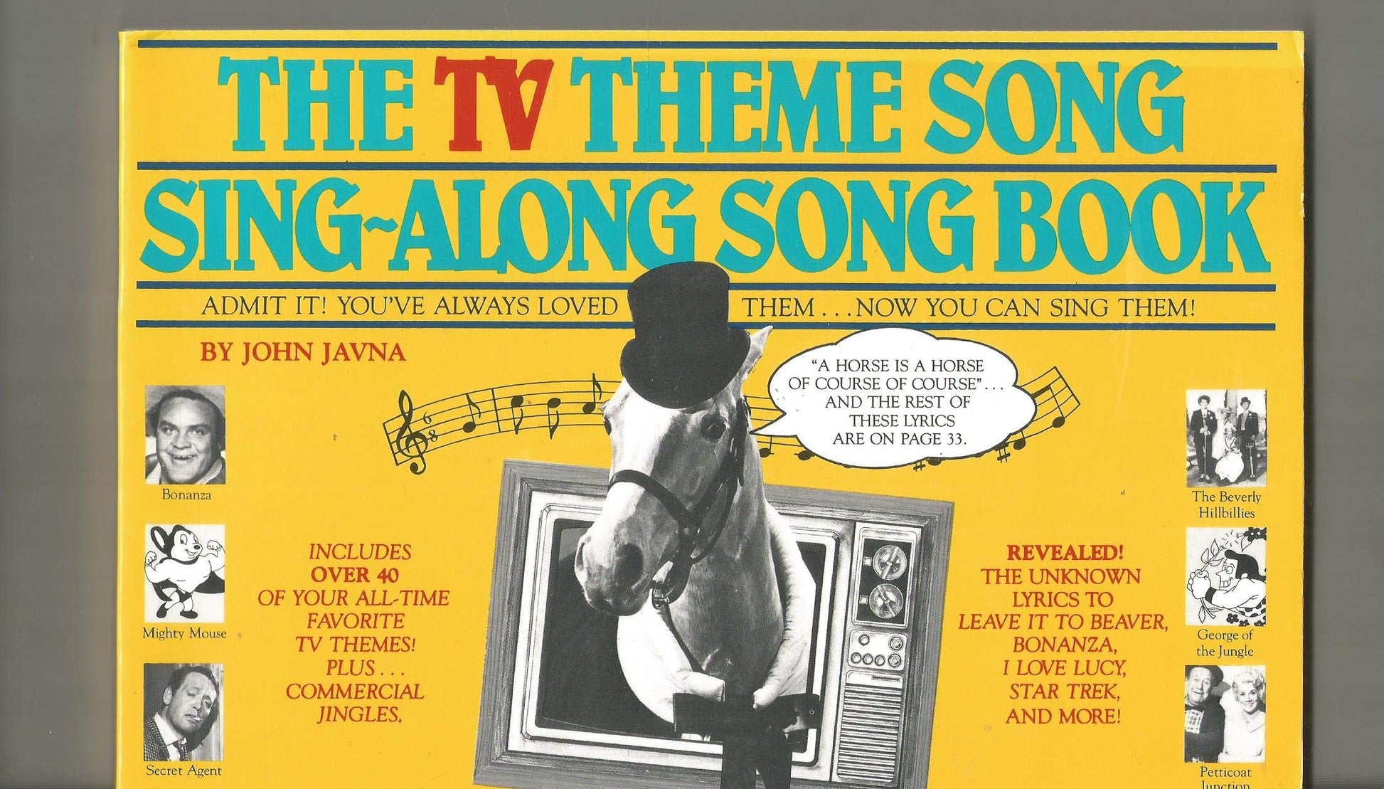 TV Theme Song Sing-Along Songbook book cover