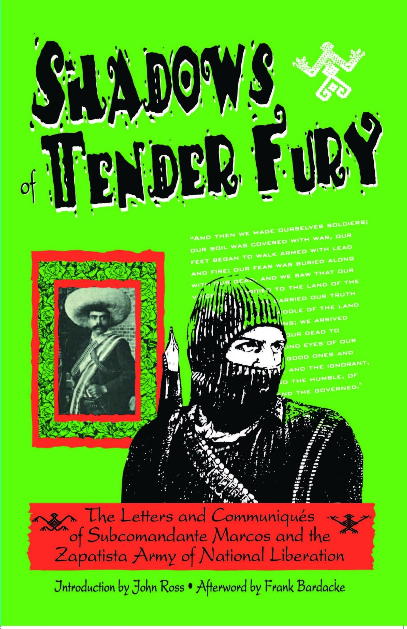 Shadows of Tender Fury book cover