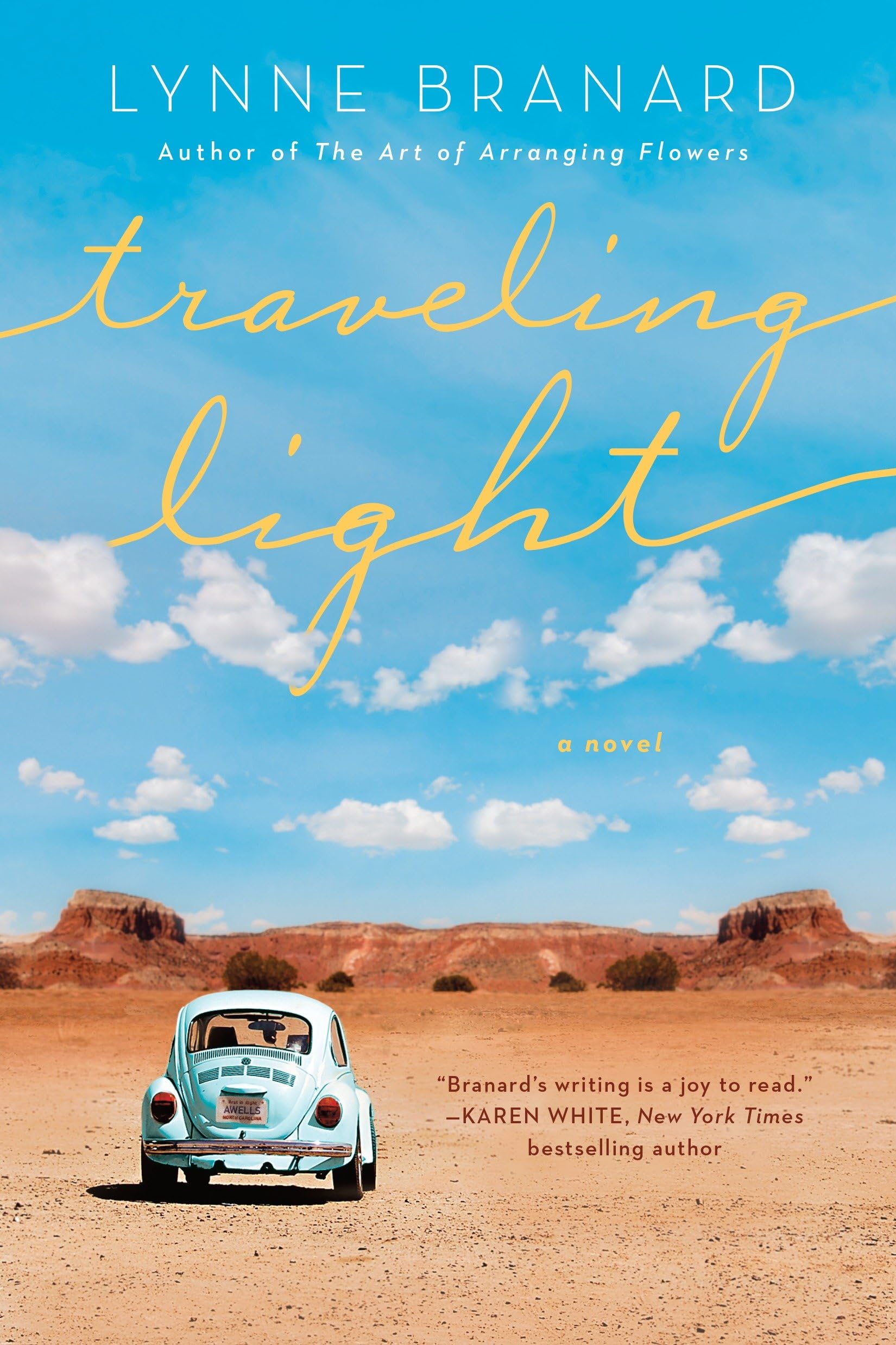 Traveling Light book cover