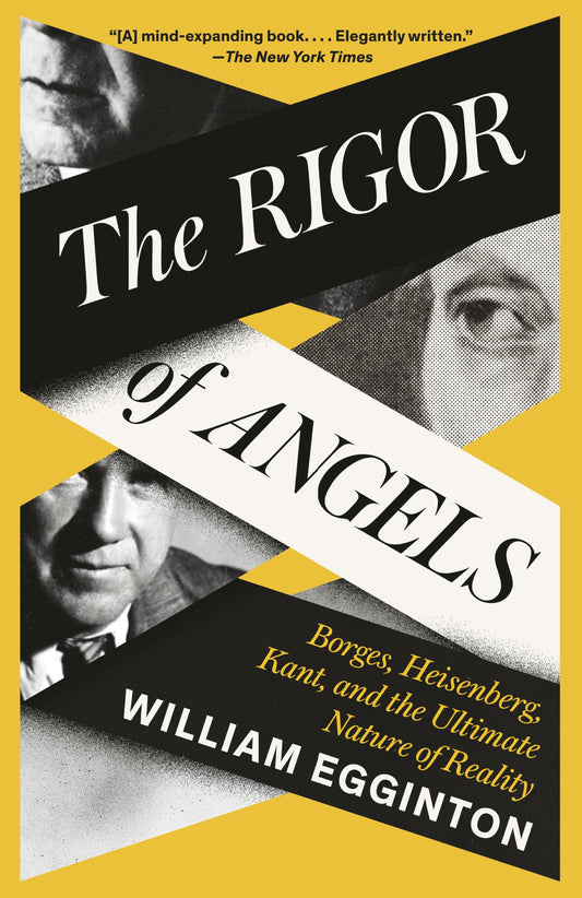 The Rigor of Angels book cover