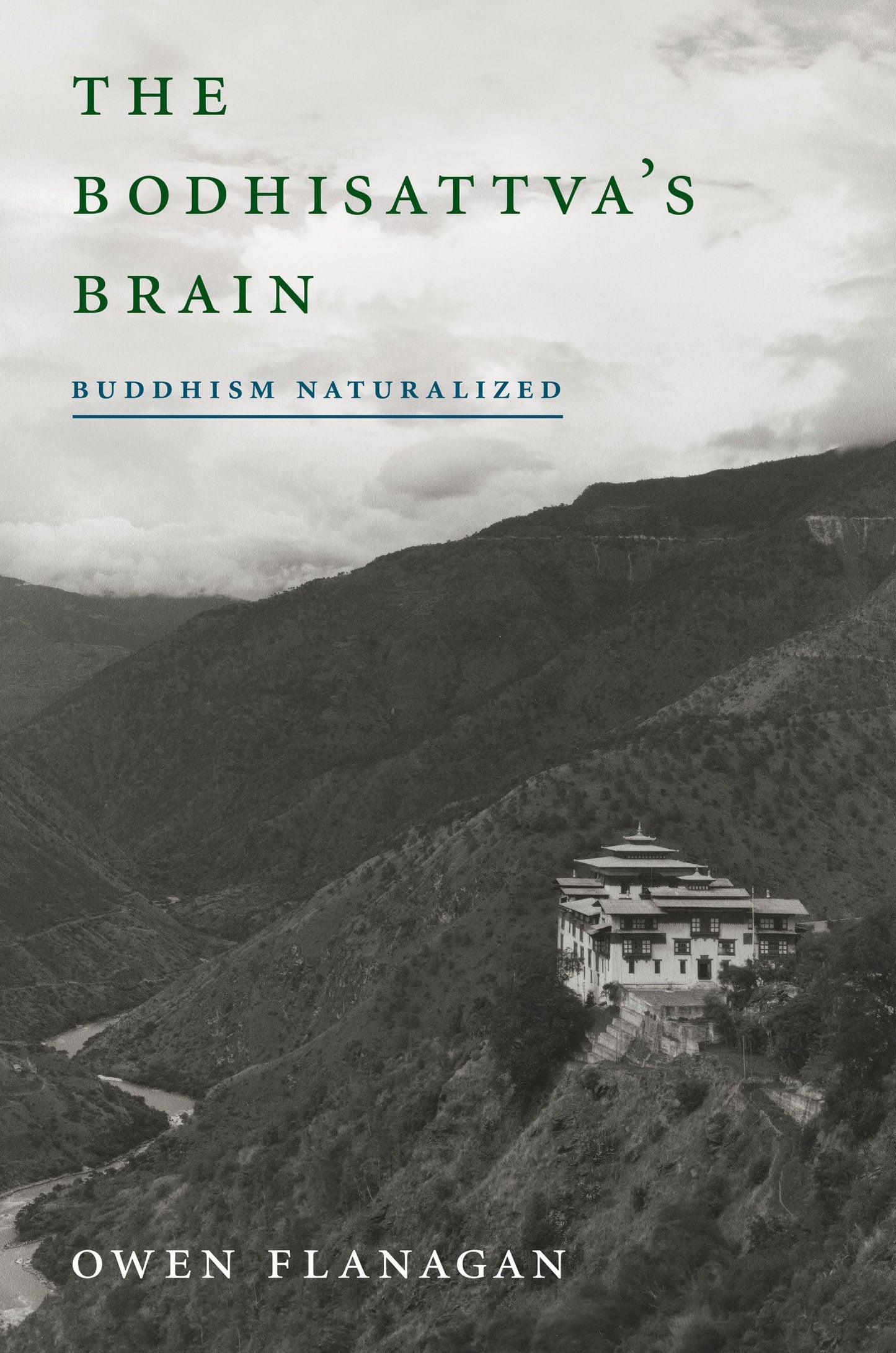 Bodhisattva's Brain: Buddhism Naturalized book cover