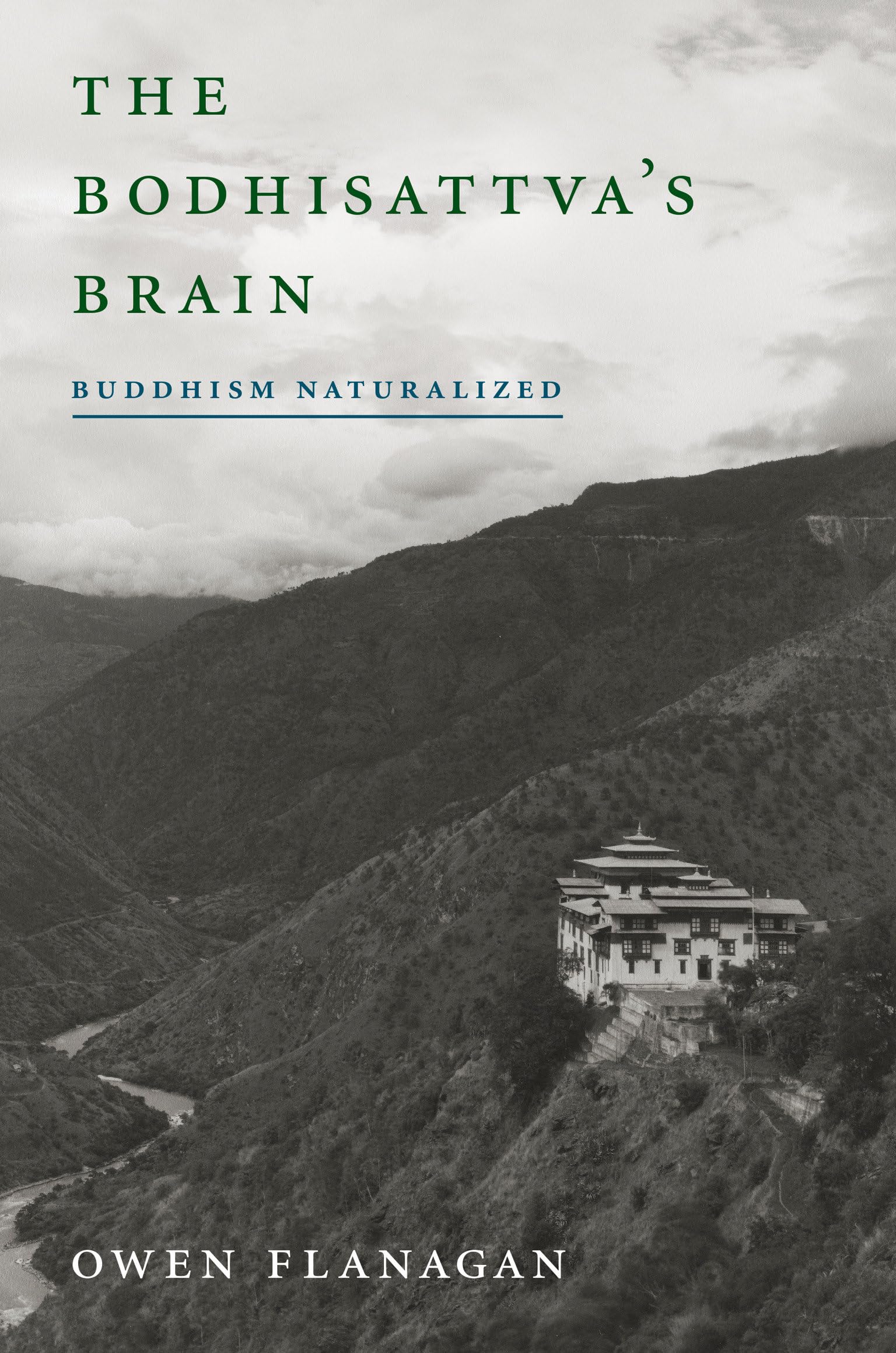 Bodhisattva's Brain: Buddhism Naturalized book cover