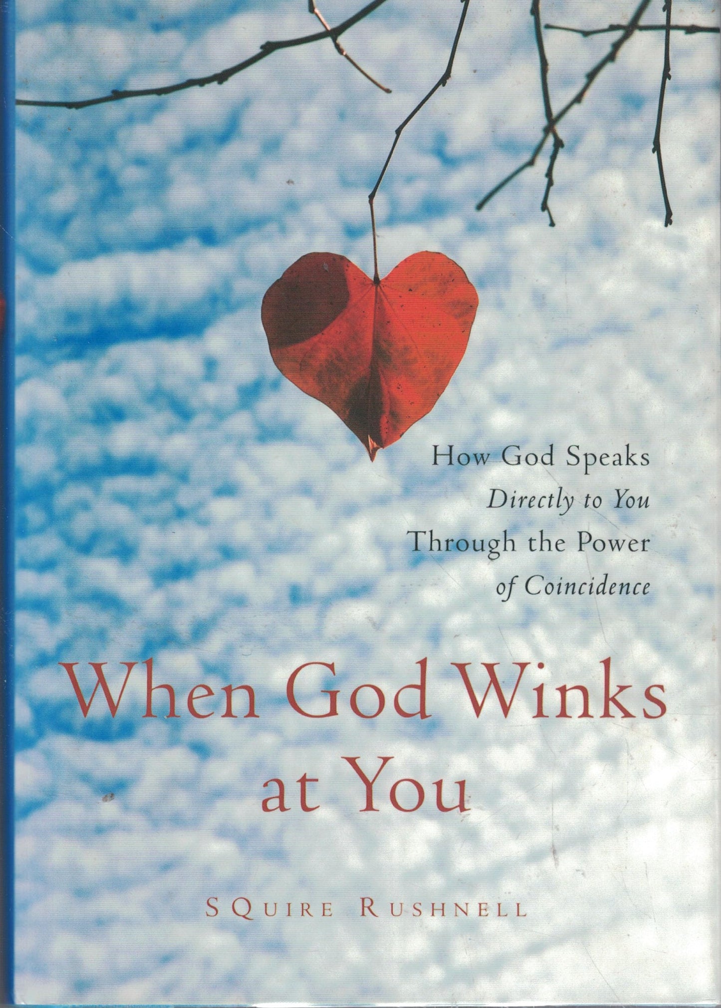 When God Winks At You book cover