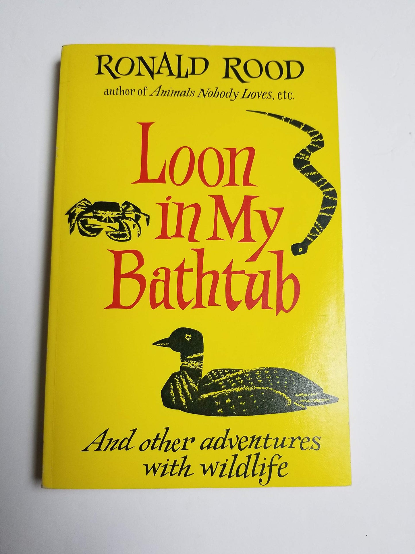 Loon in My Bathtub book cover