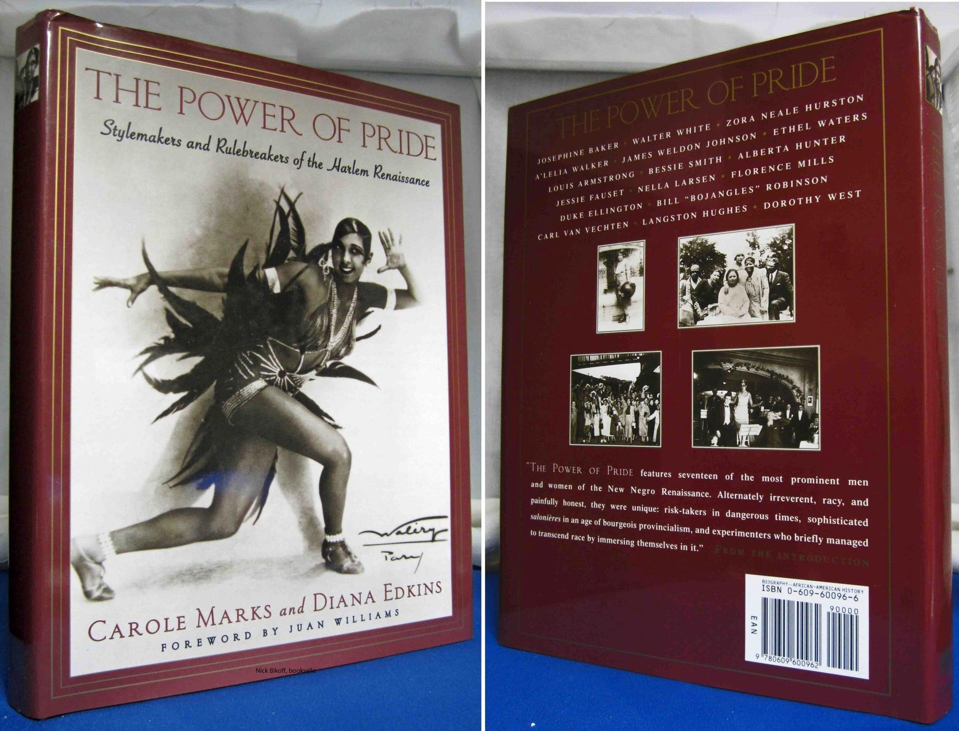 Power of Pride: Stylemakers and Rulebreakers of the Harlem Renaissance book cover