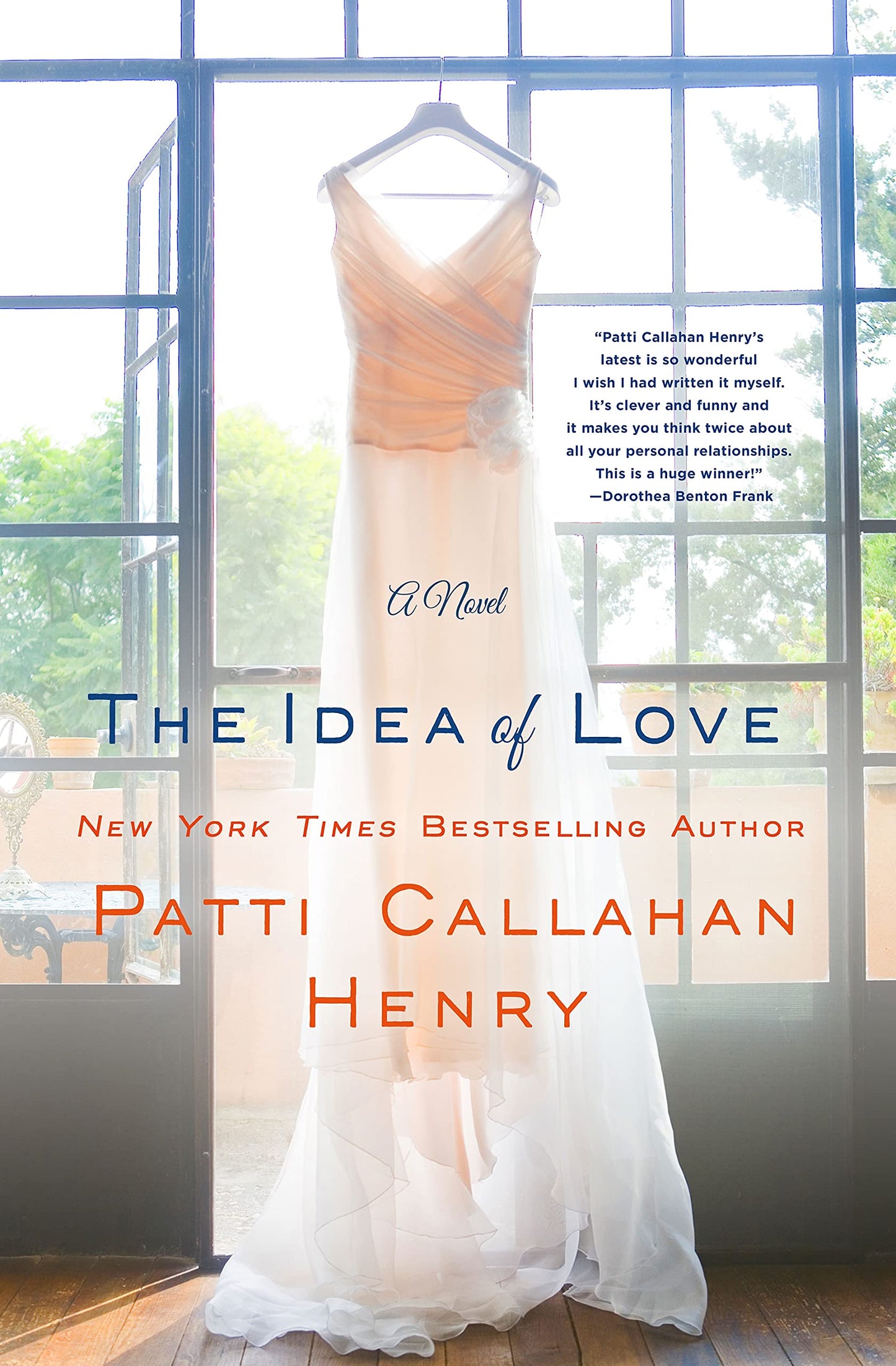 Idea of Love book cover