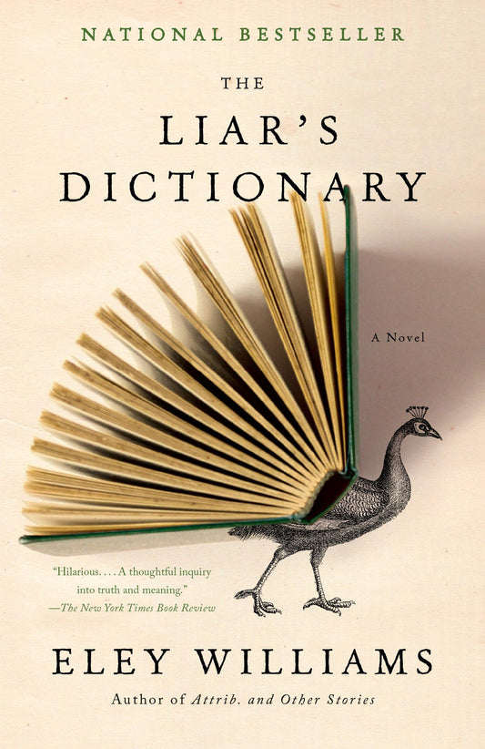 Liar's Dictionary book cover