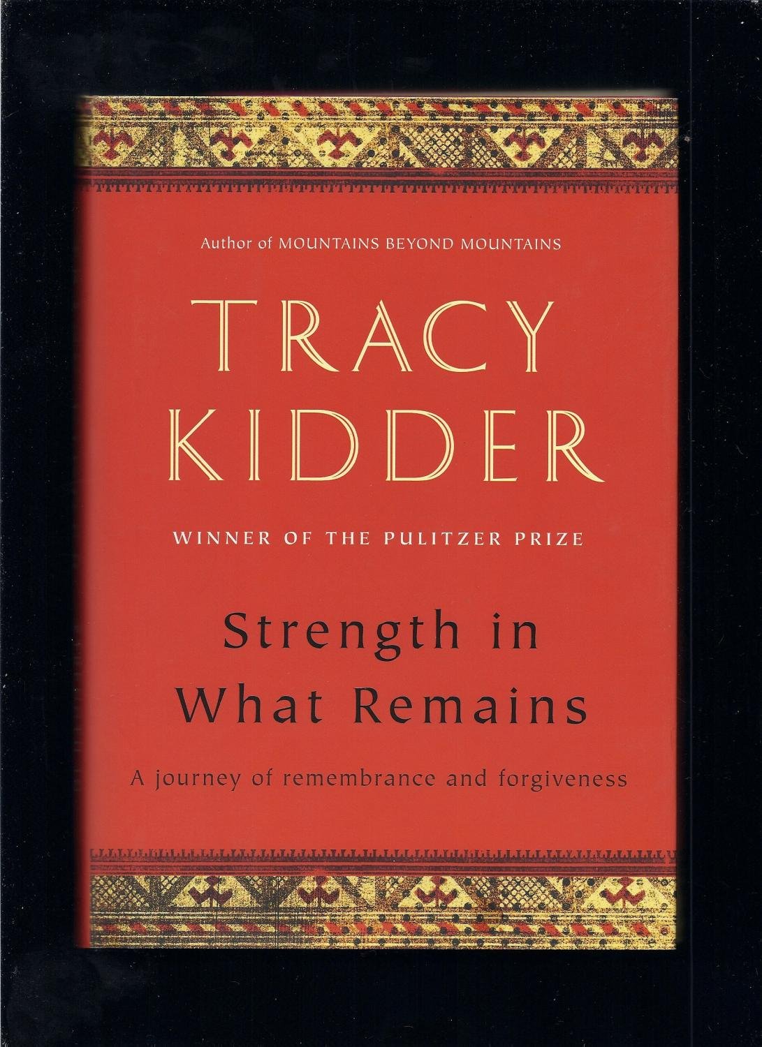 Strength in What Remains book cover