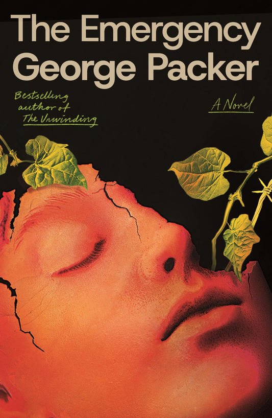 The Emergency book cover