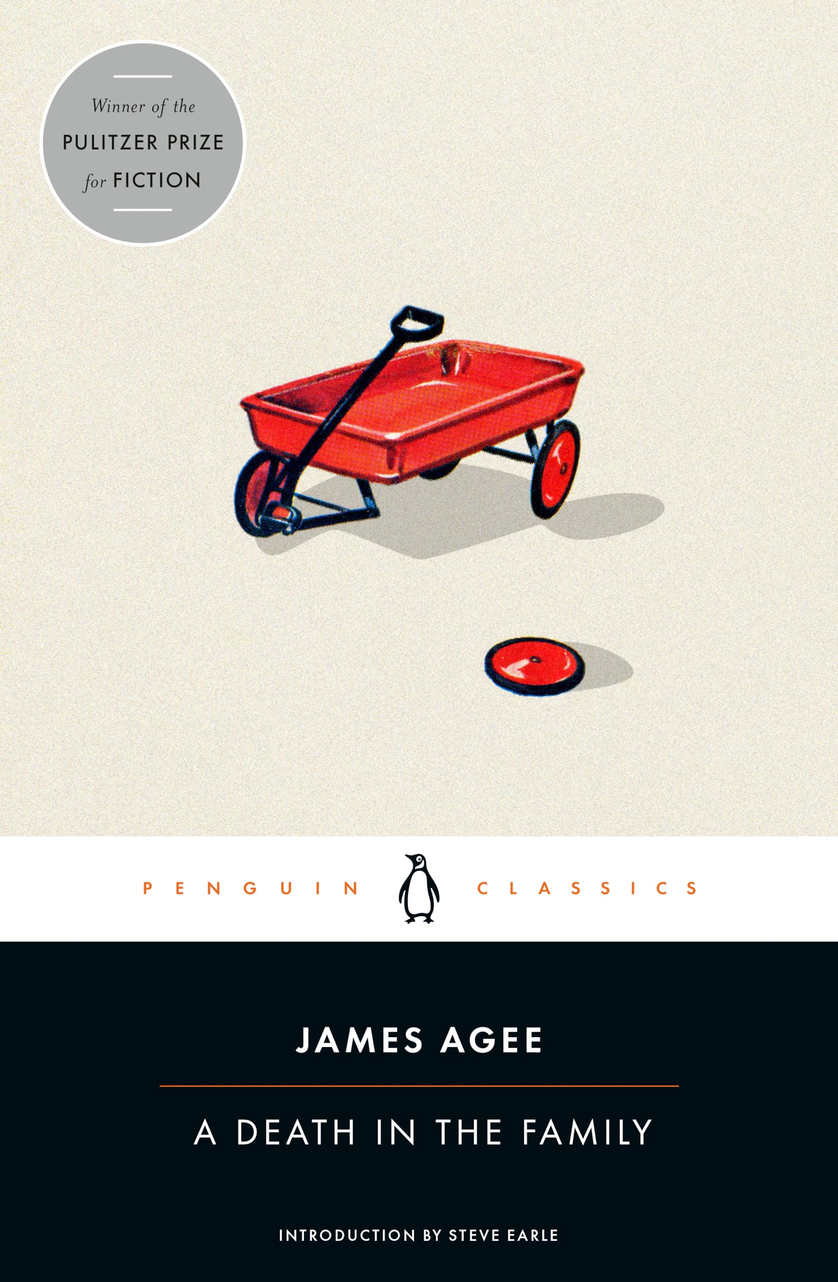 Death in the Family book cover
