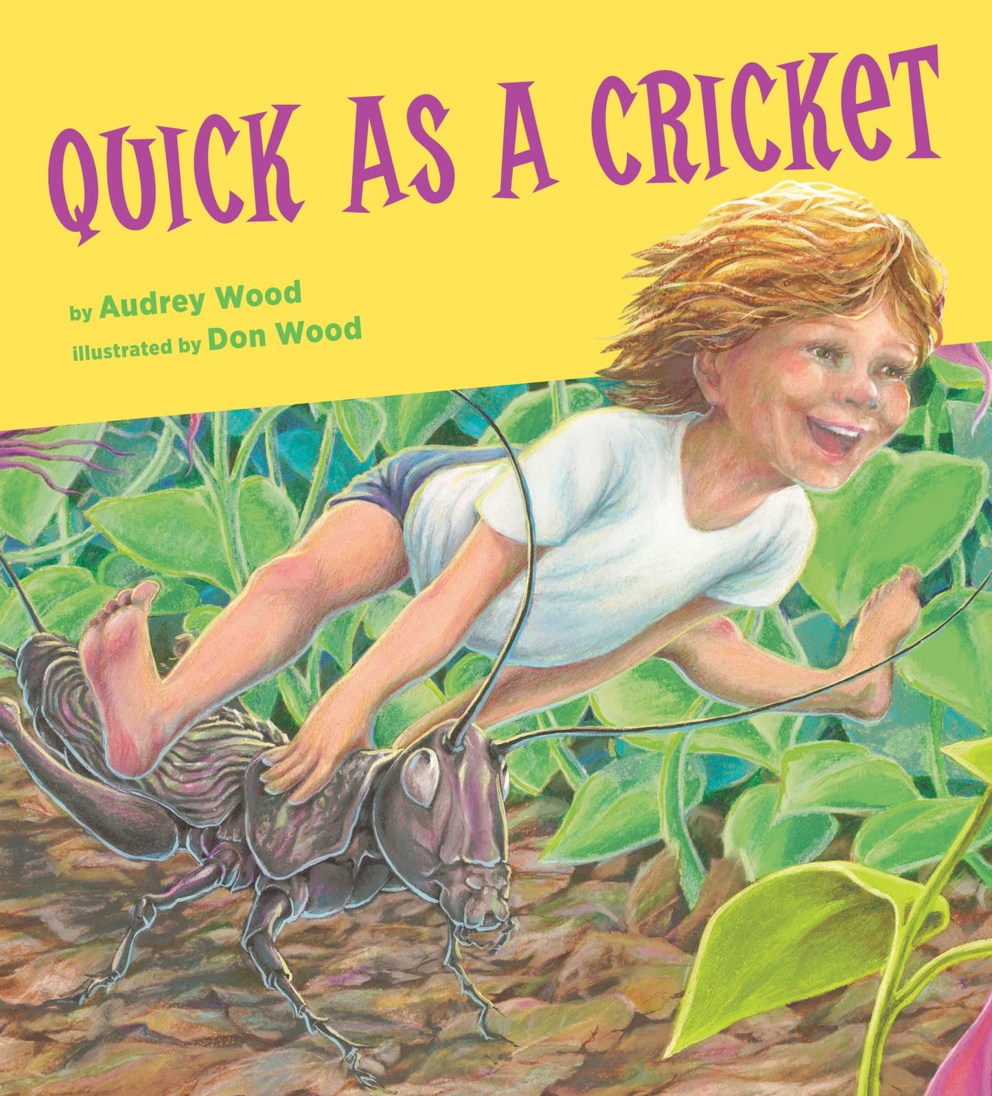 Quick as a Cricket book cover