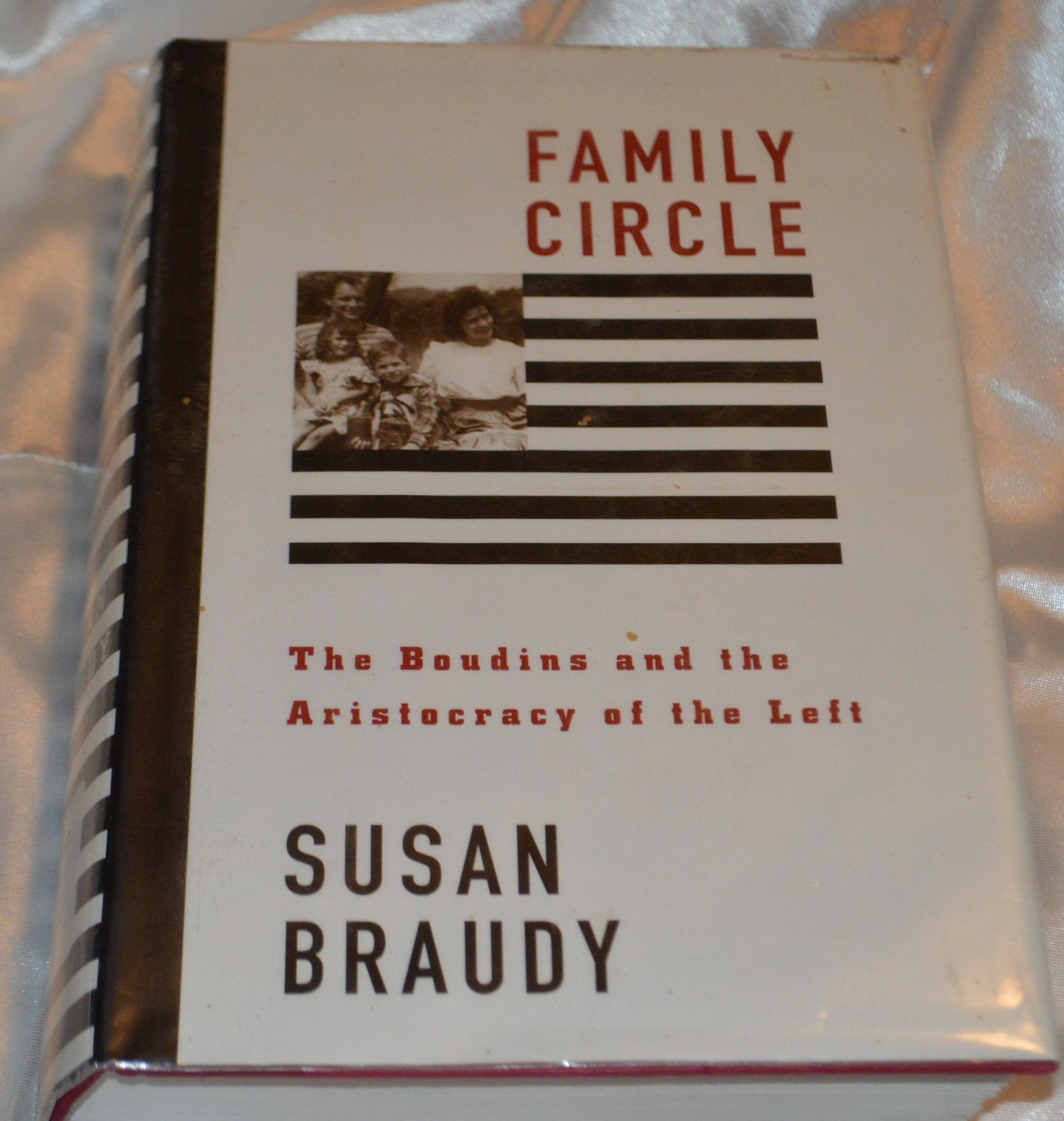 Family Circle: The Boudins and the Aristocracy of the Left book cover