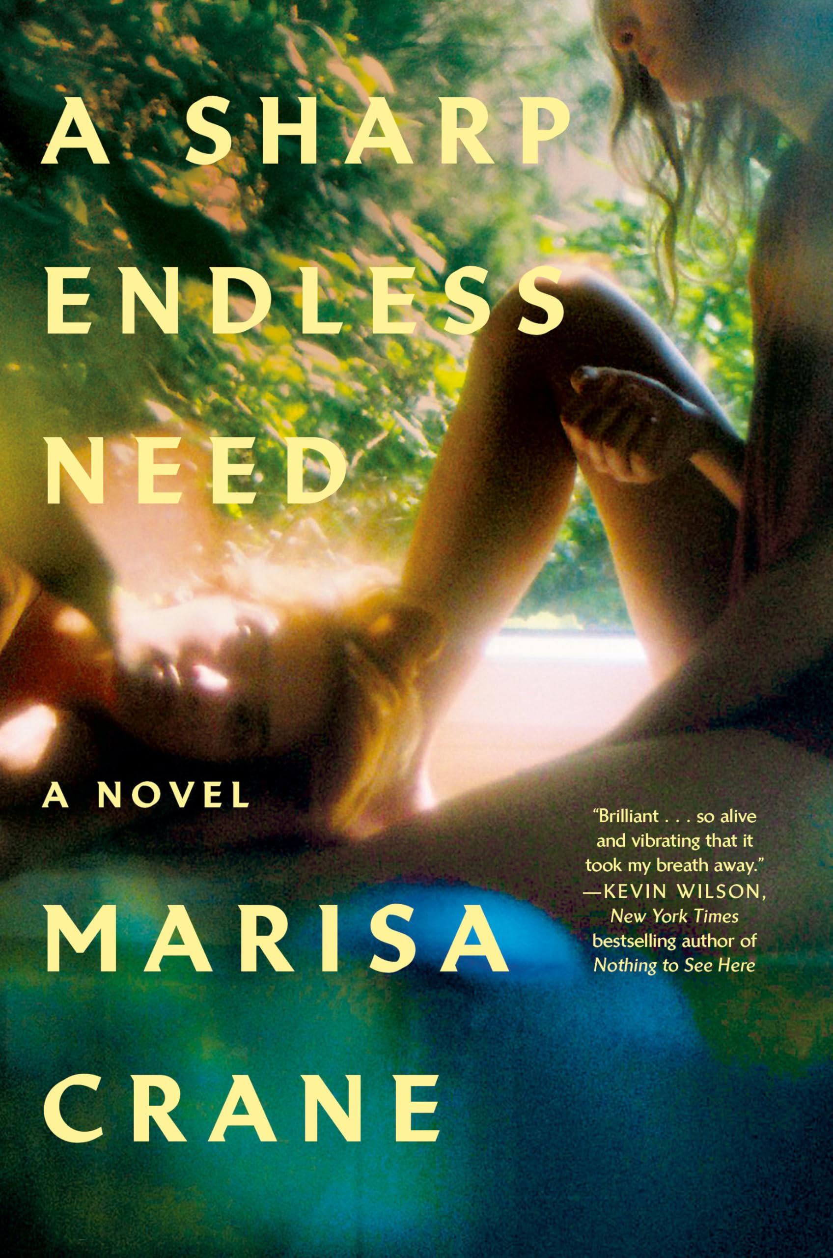 Sharp Endless Need book cover