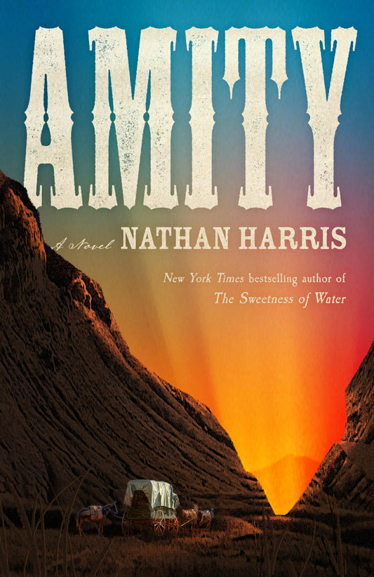 Amity book cover