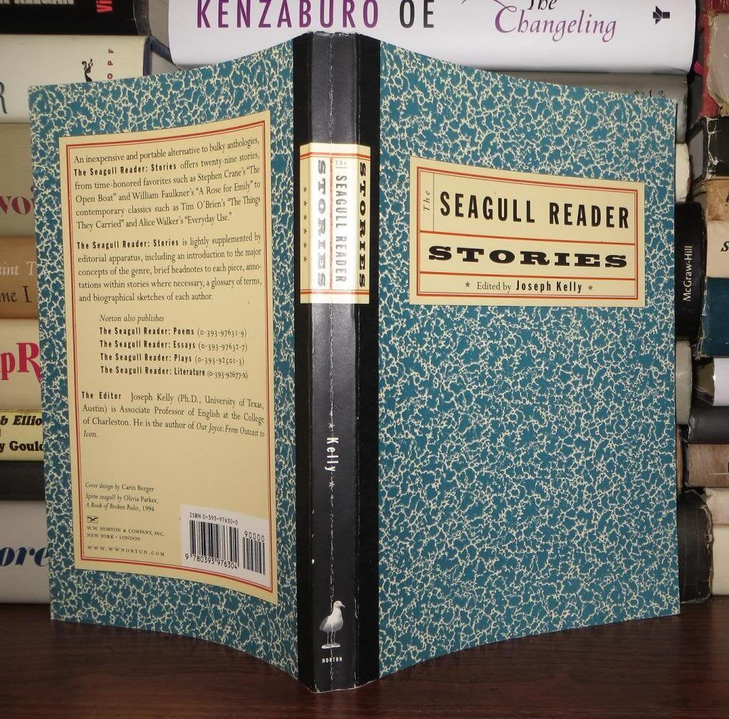 Seagull Reader: Fiction book cover