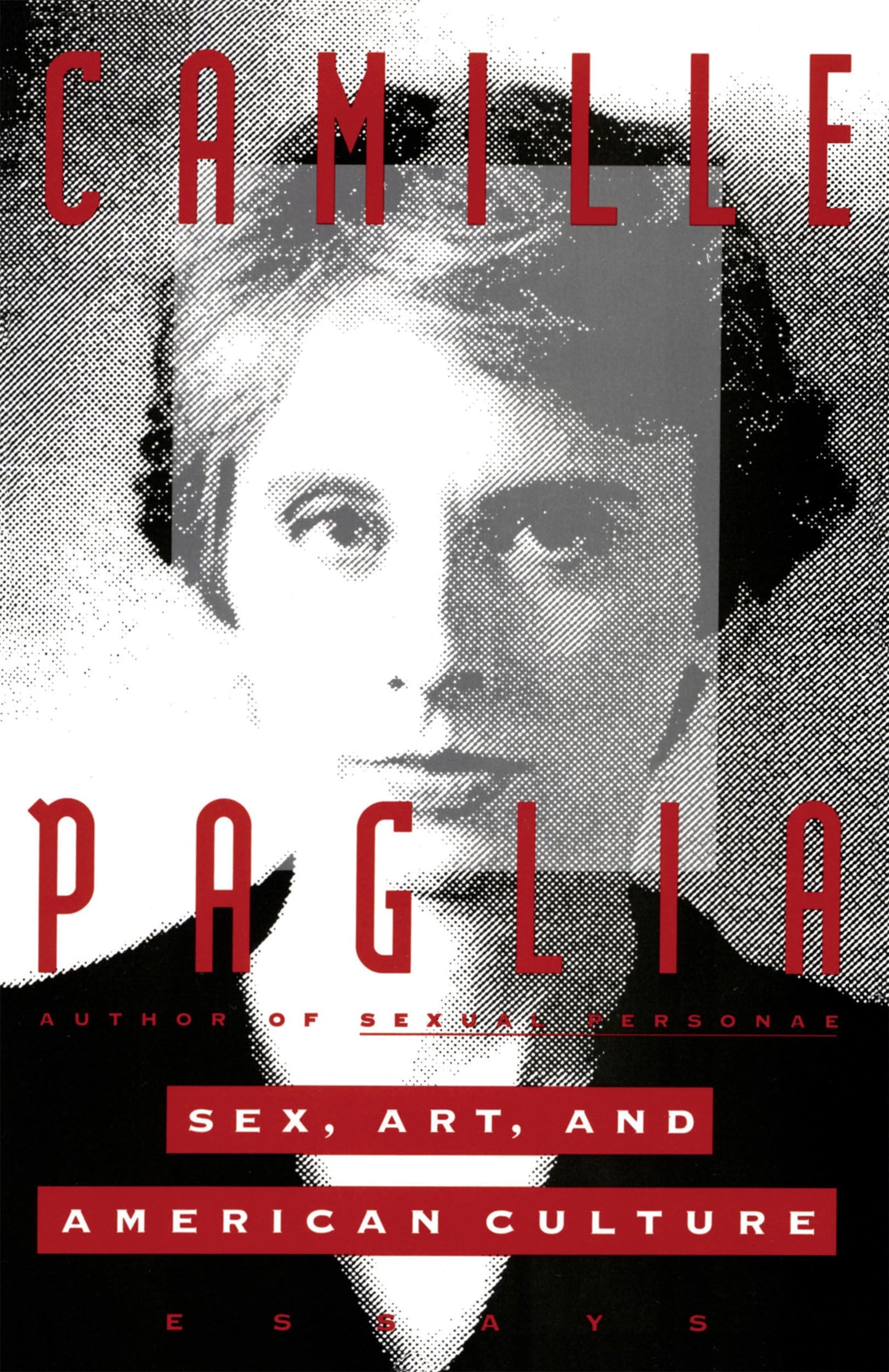 Sex, Art, and American Culture: Essays book cover