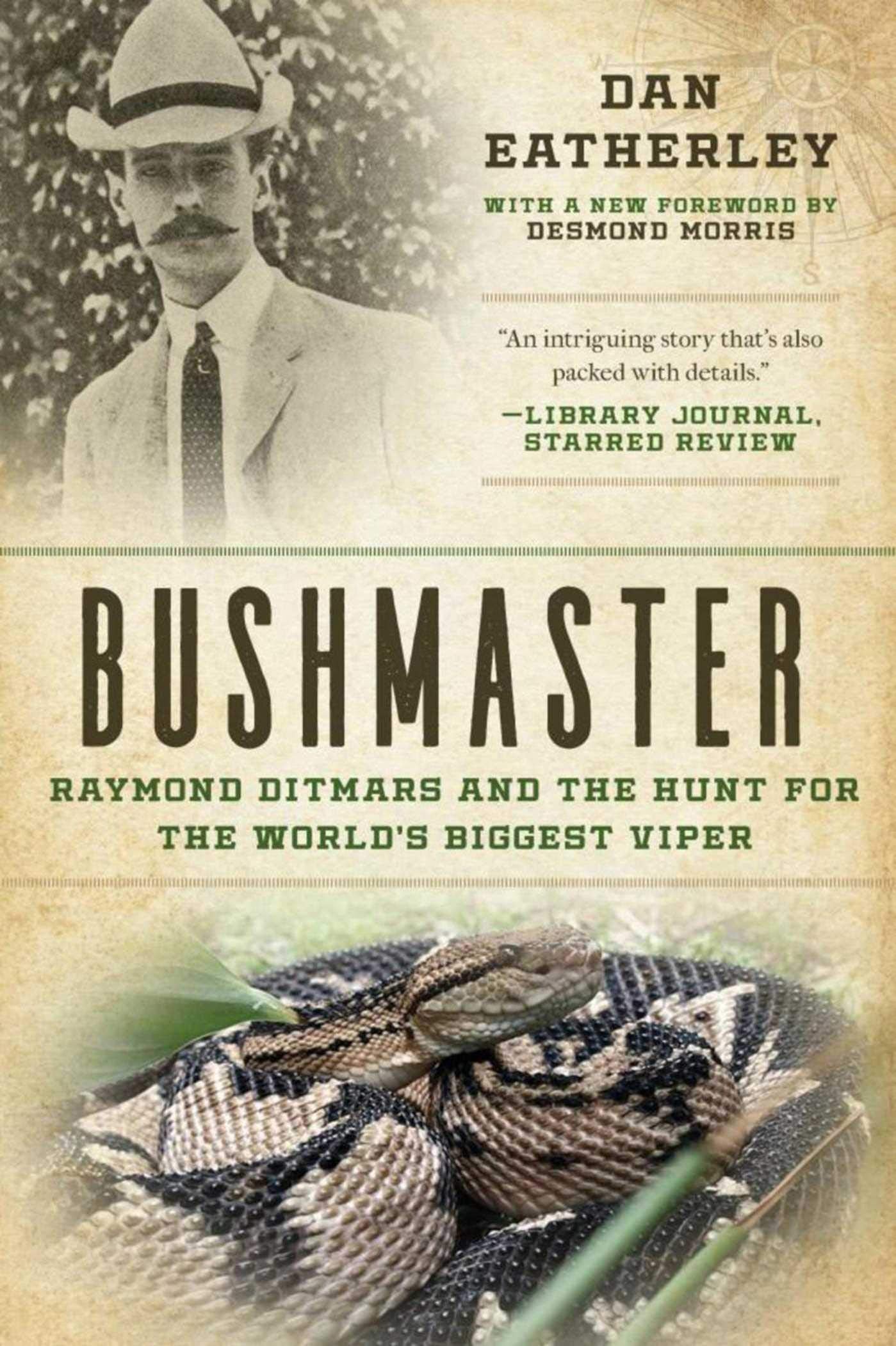 Bushmaster: Raymond Ditmars and the Hunt for the World's Largest Viper book cover
