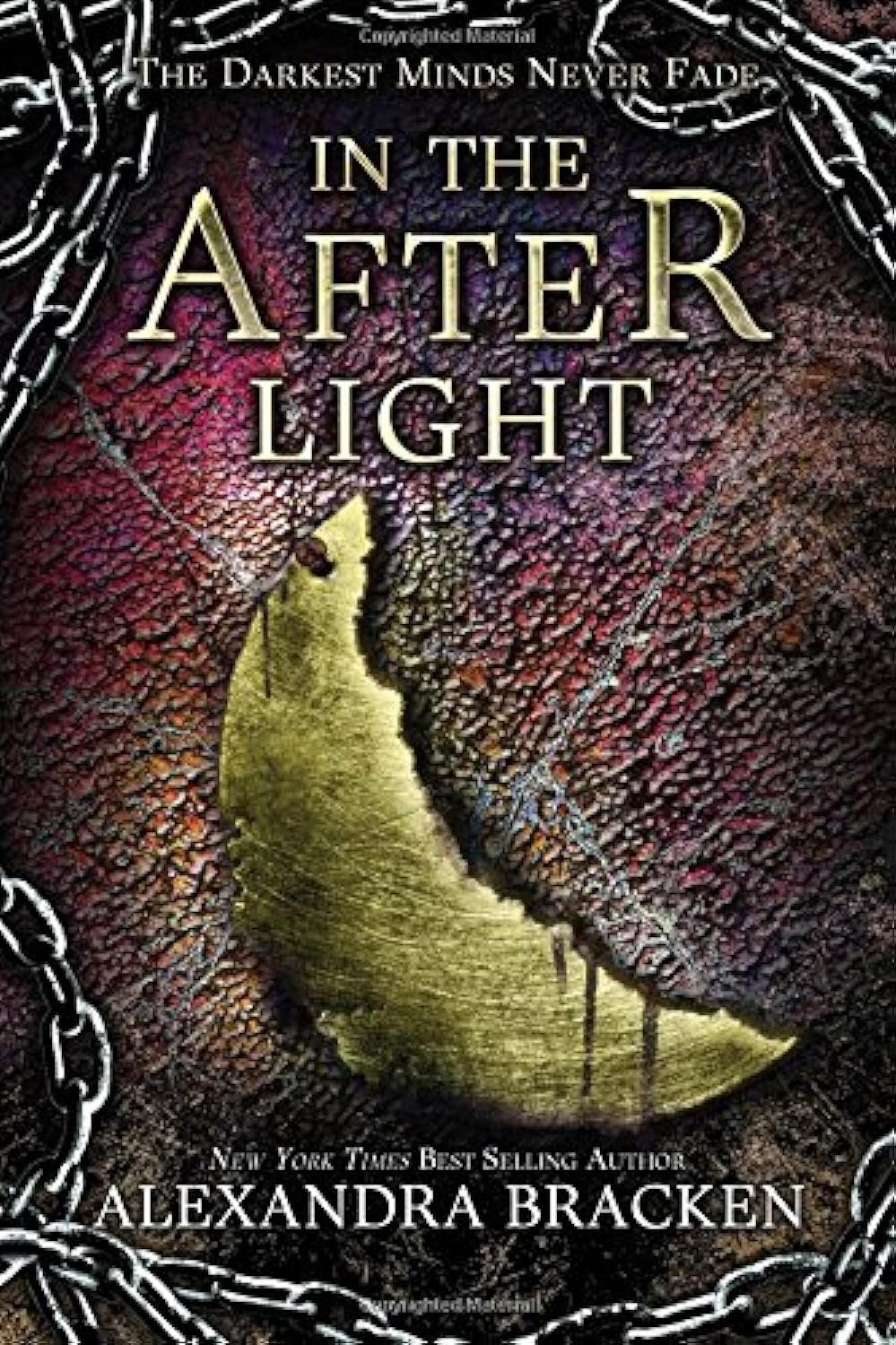 In the Afterlight (a Darkest Minds Novel): A Darkest Minds Novel book cover
