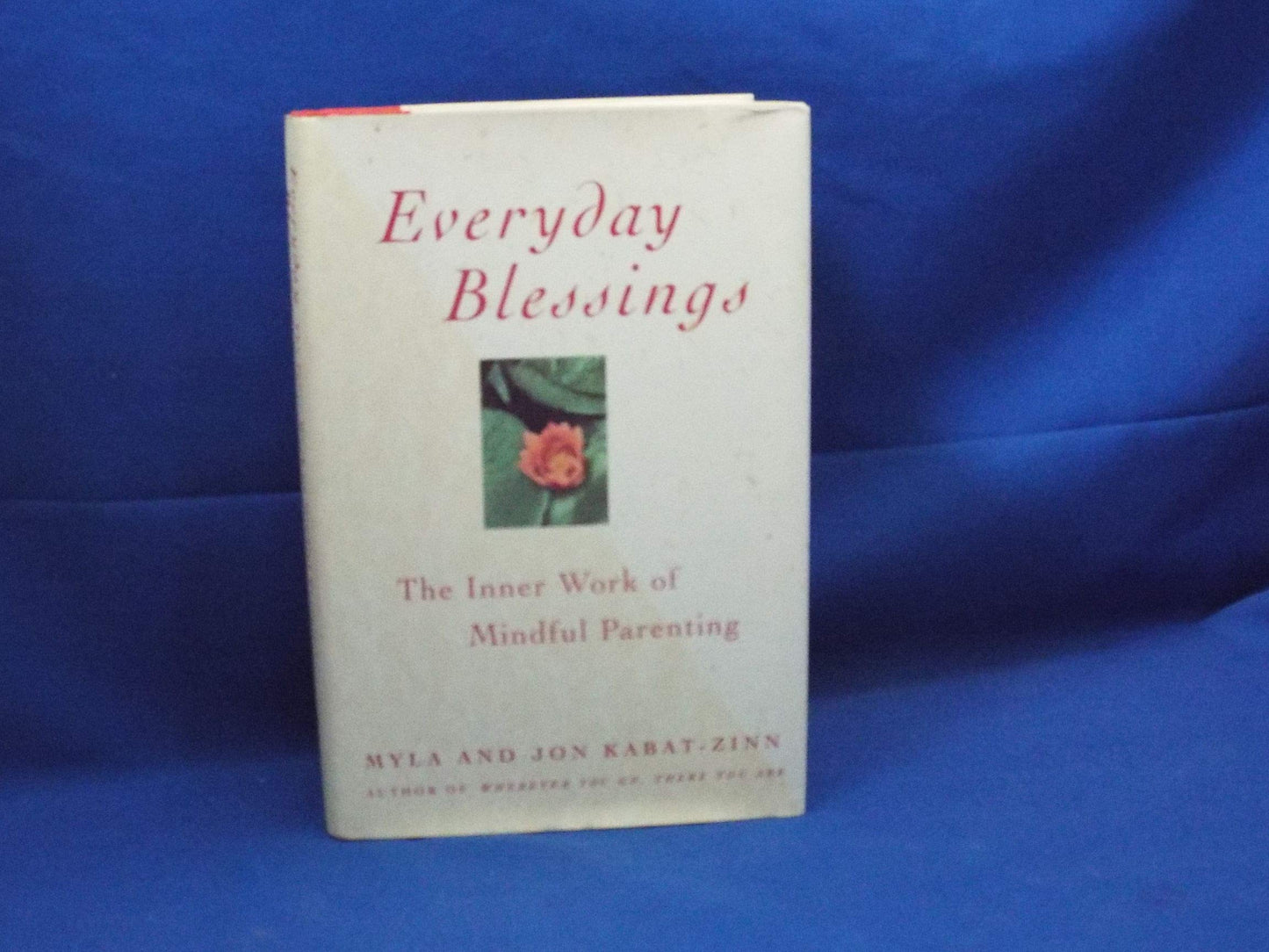 Everyday Blessings: Inner Work of Mindful Parenting book cover