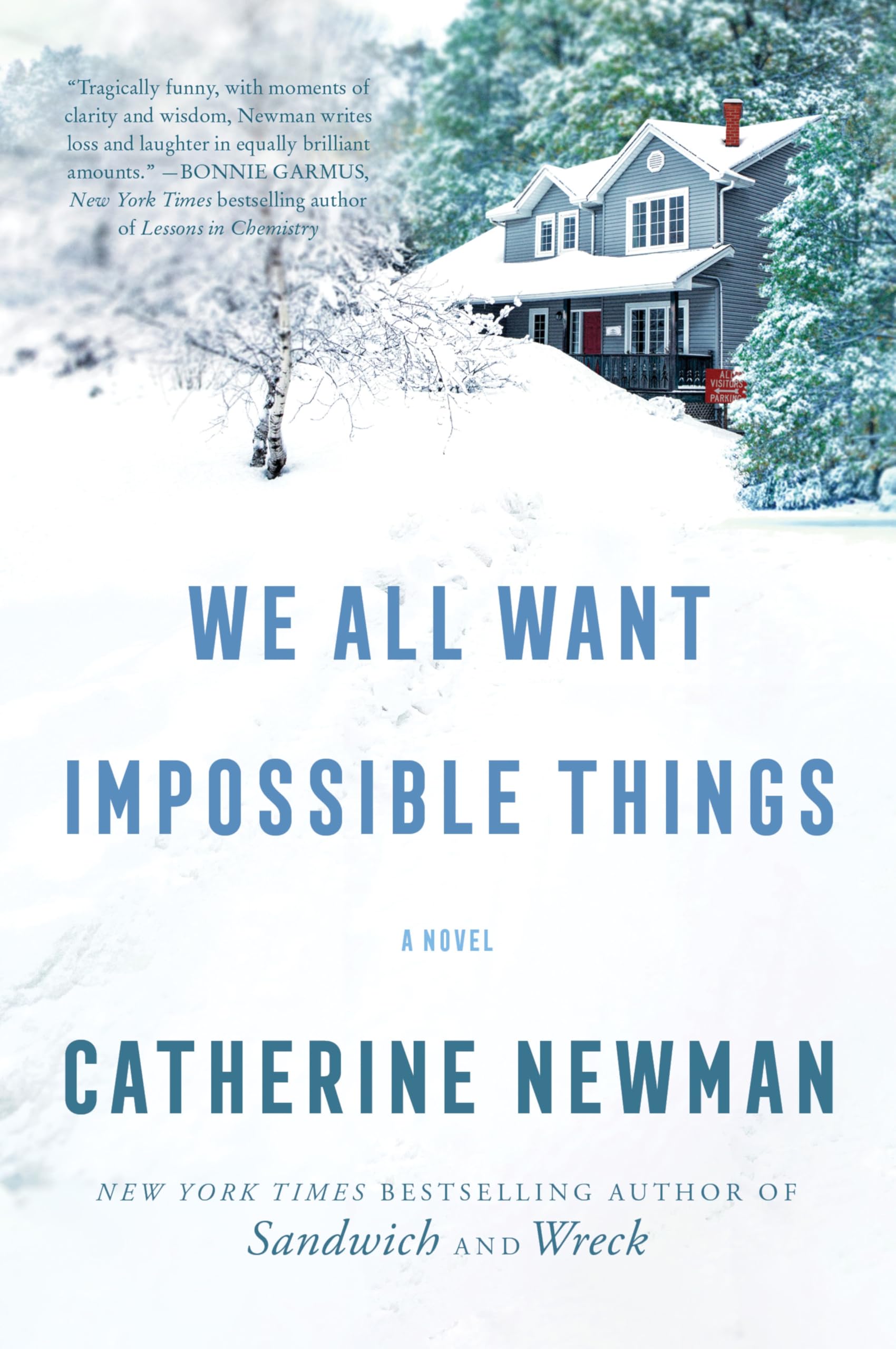We All Want Impossible Things book cover