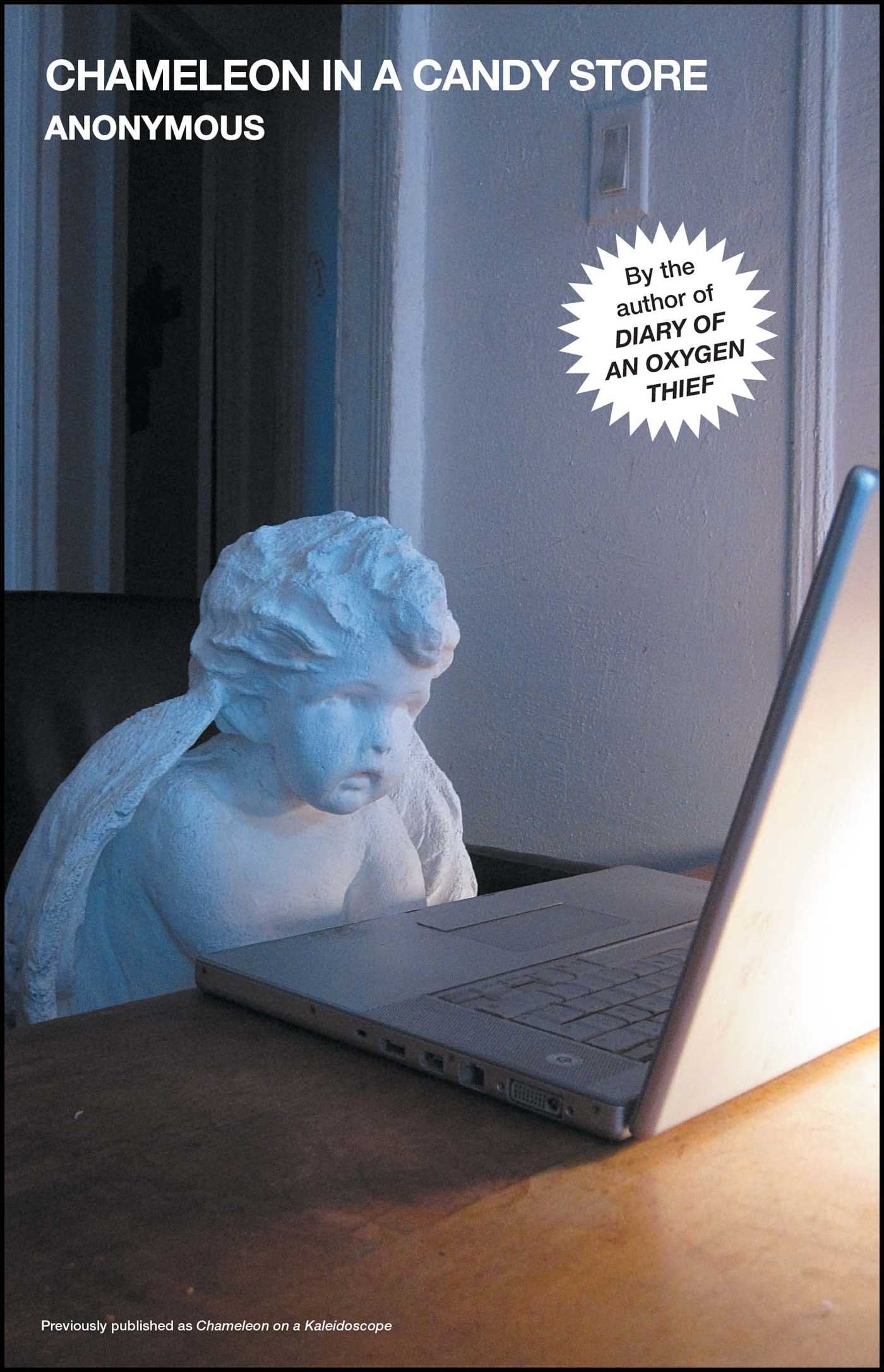 Chameleon in a Candy Store book cover