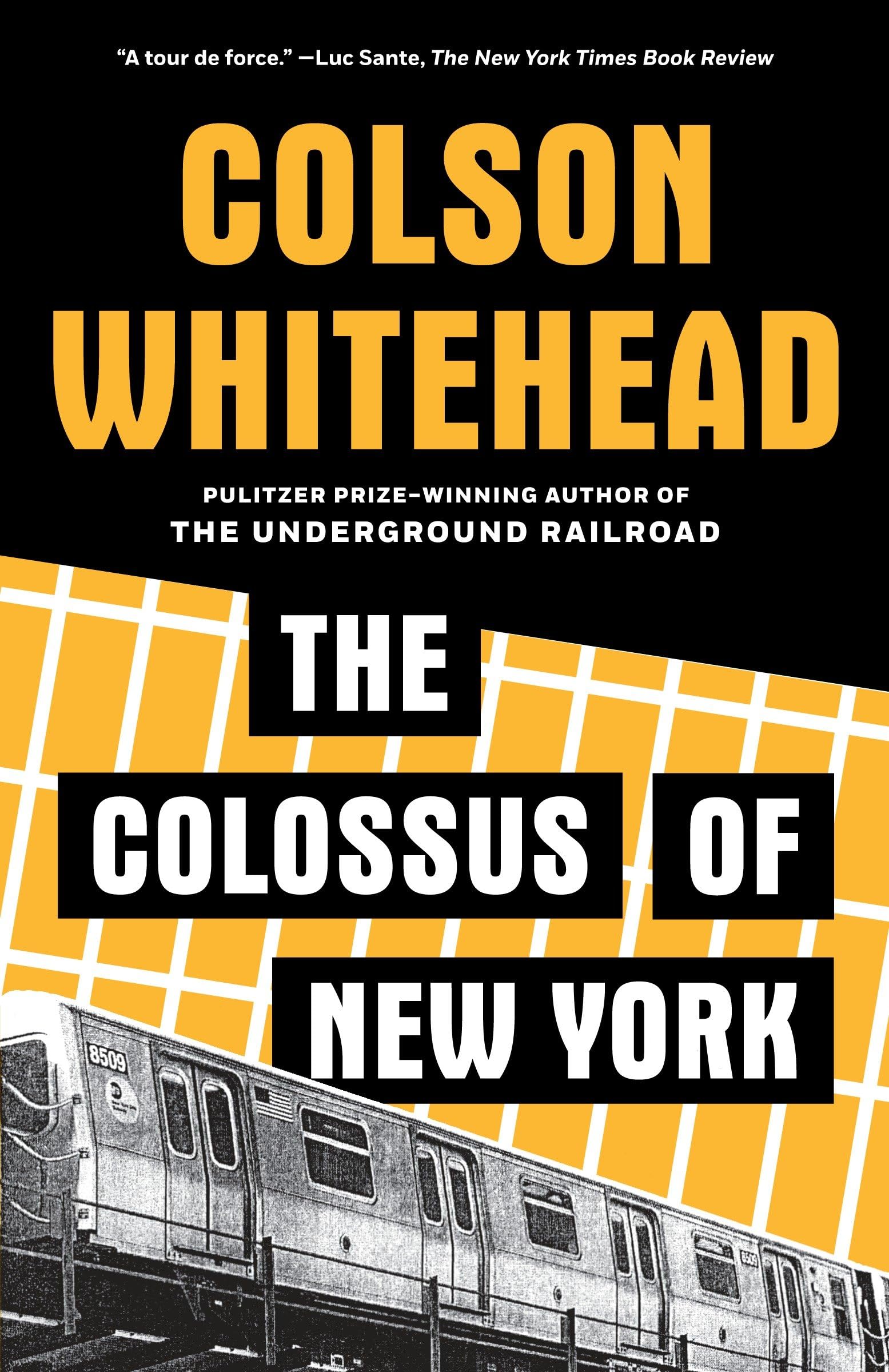The Colossus of New York book cover