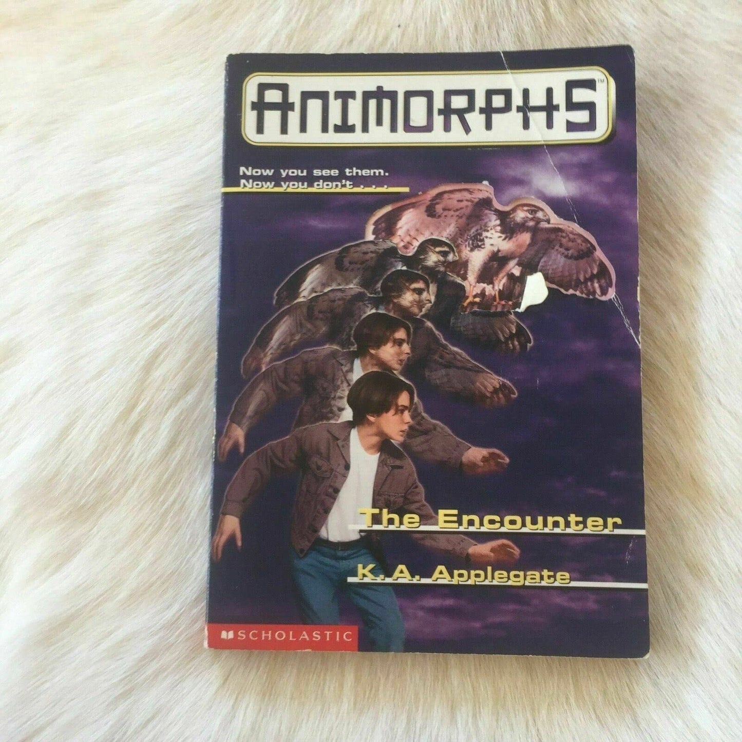 Encounter book cover