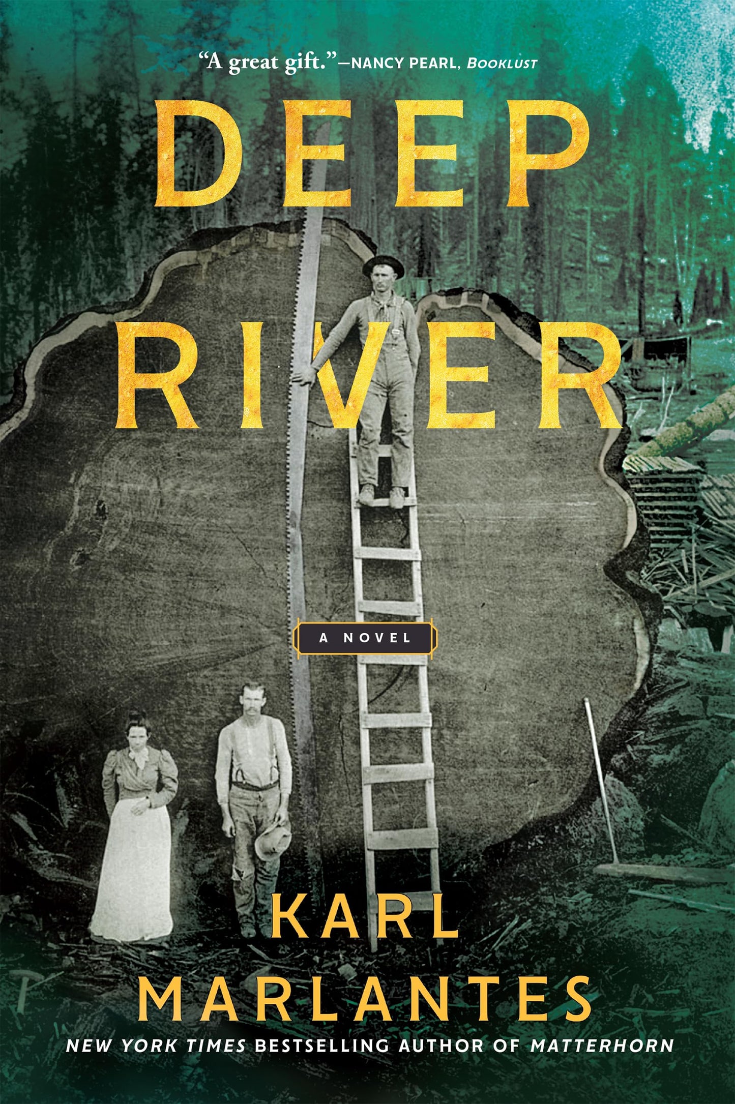 Deep River book cover