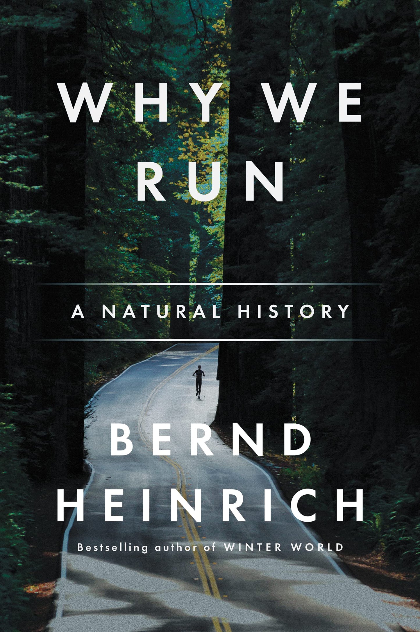 Why We Run: A Natural History book cover