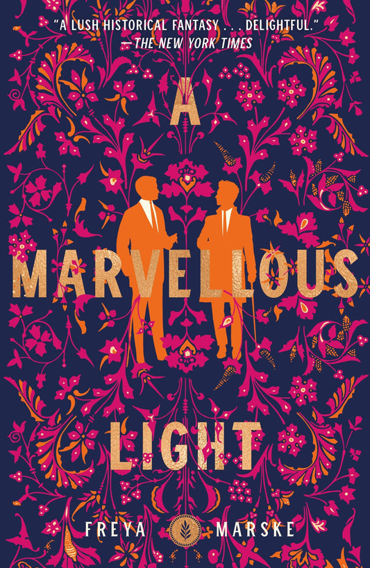 Marvellous Light book cover