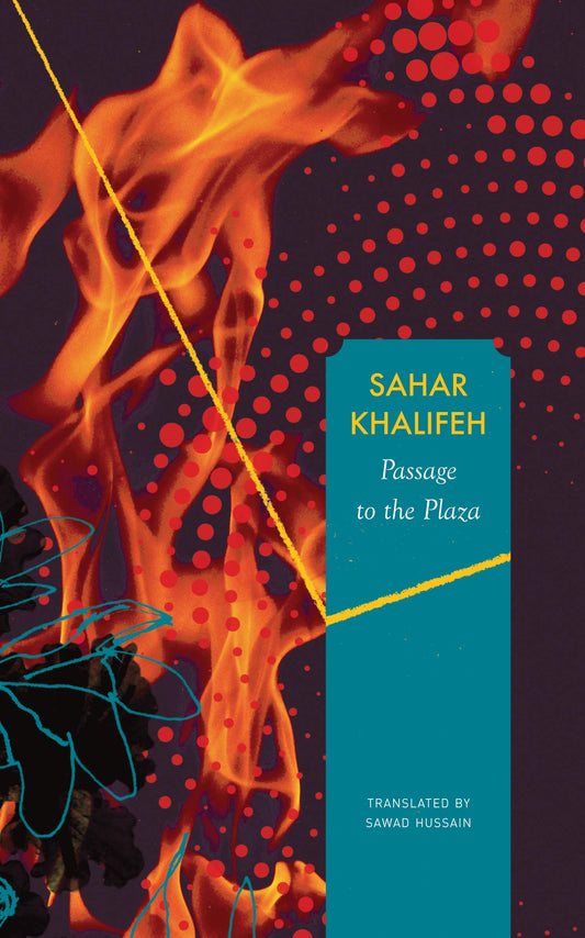 Passage to the Plaza book cover