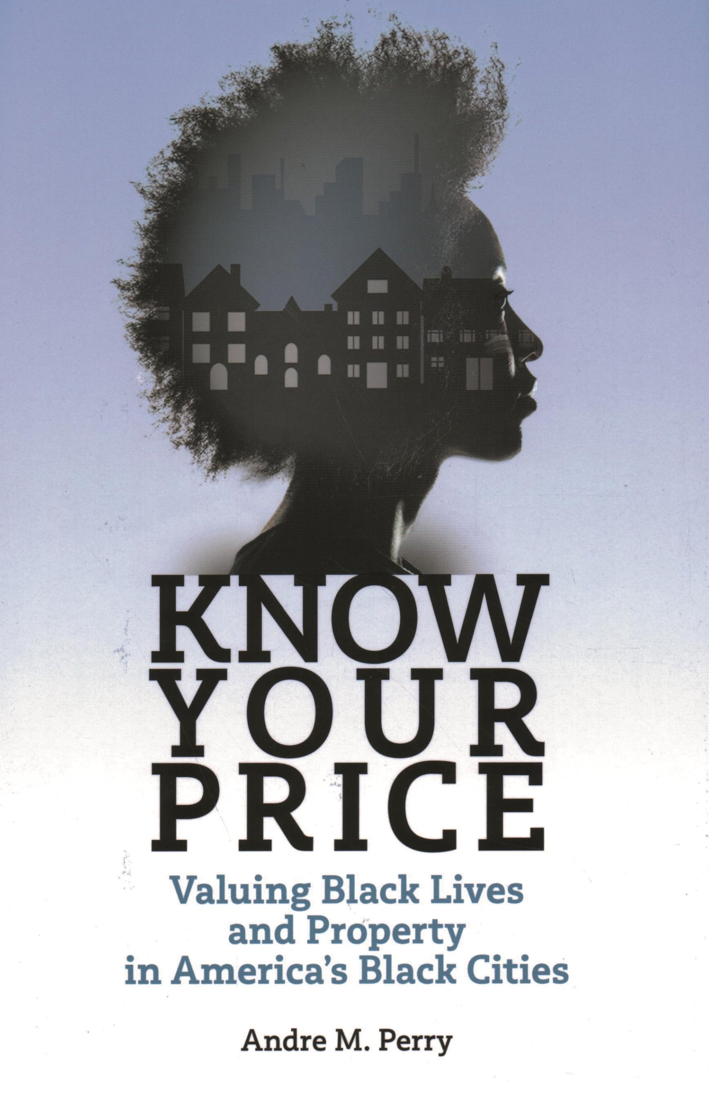 Know Your Price: Valuing Black Lives and Property in America's Black Cities book cover