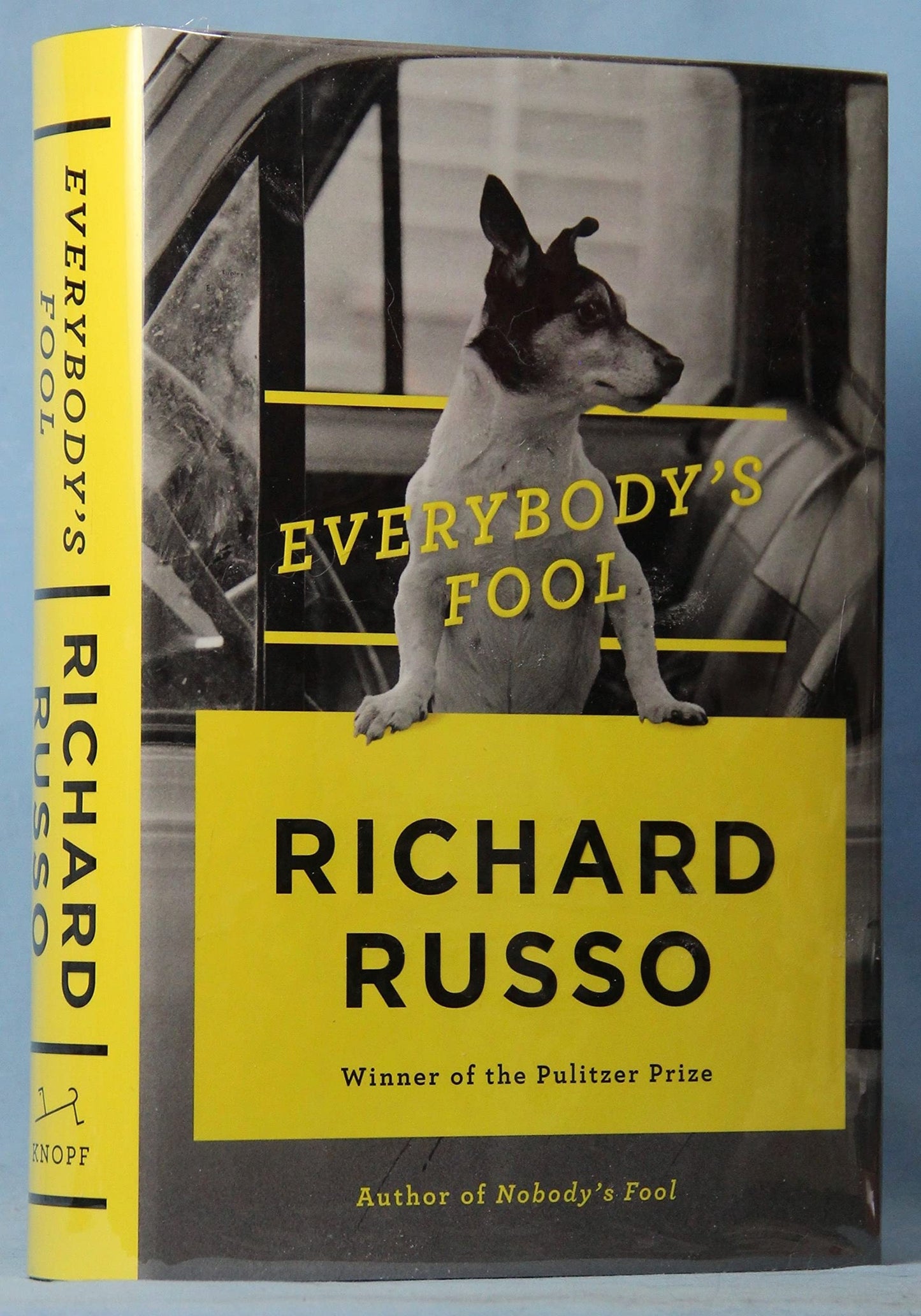 Everybody's Fool book cover